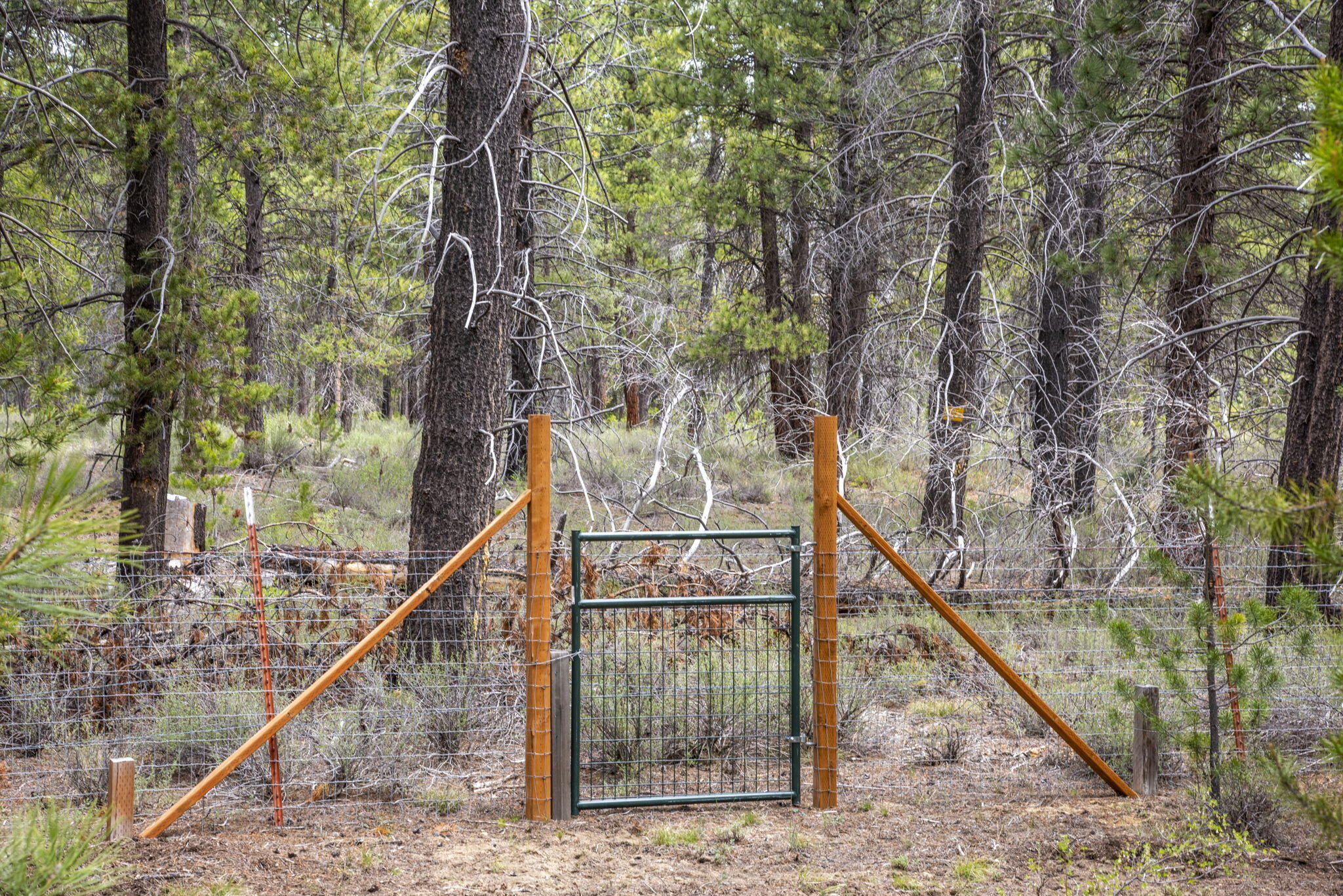 Deschutes River Recreation Homesites - Residential