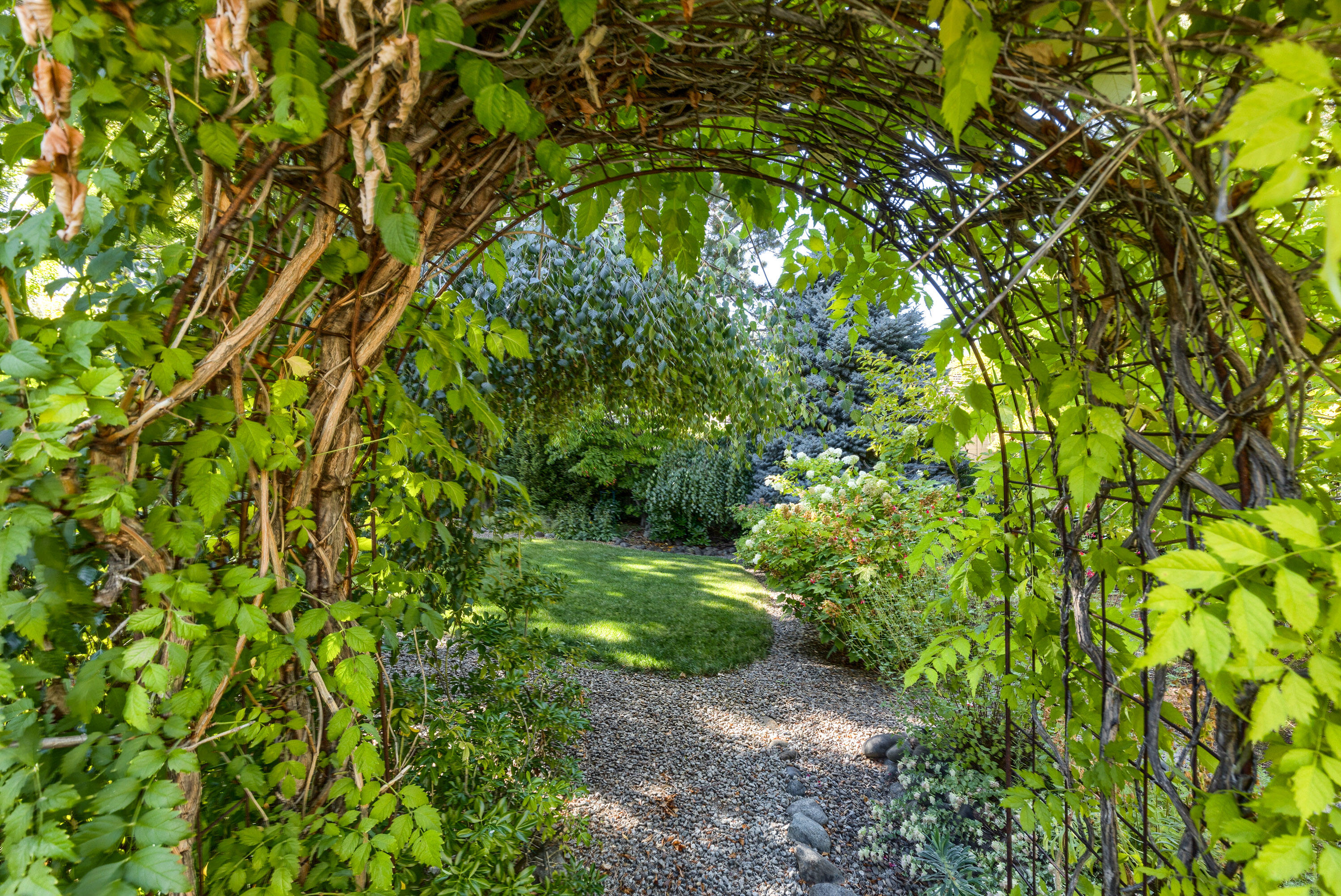 Alder Creek Subdivision Unit No 1 - Residential