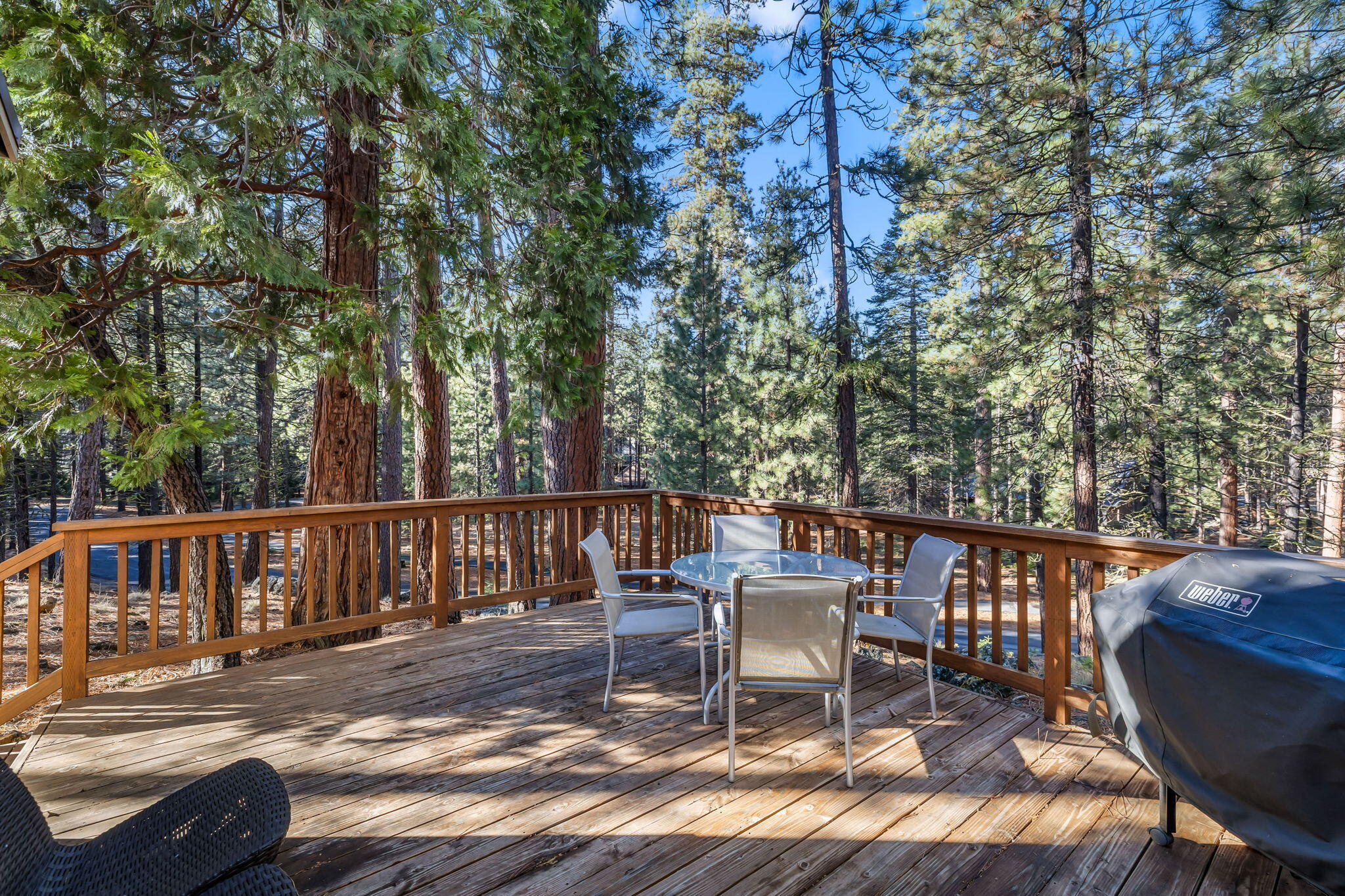 13584 Nine Bark RC 7