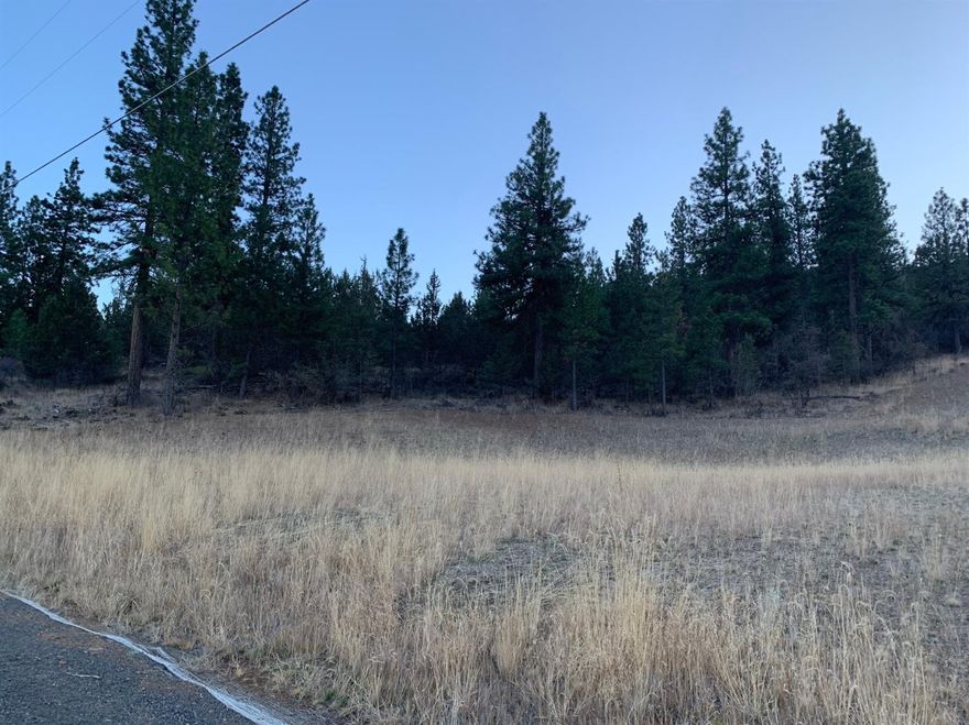 80 acres just 2 miles from downtown Klamath Falls. Build your dream home or enjoy as recreational property. Peaceful, quiet location amongst the pines. Minutes from Sky Lakes Medical Center and OIT.