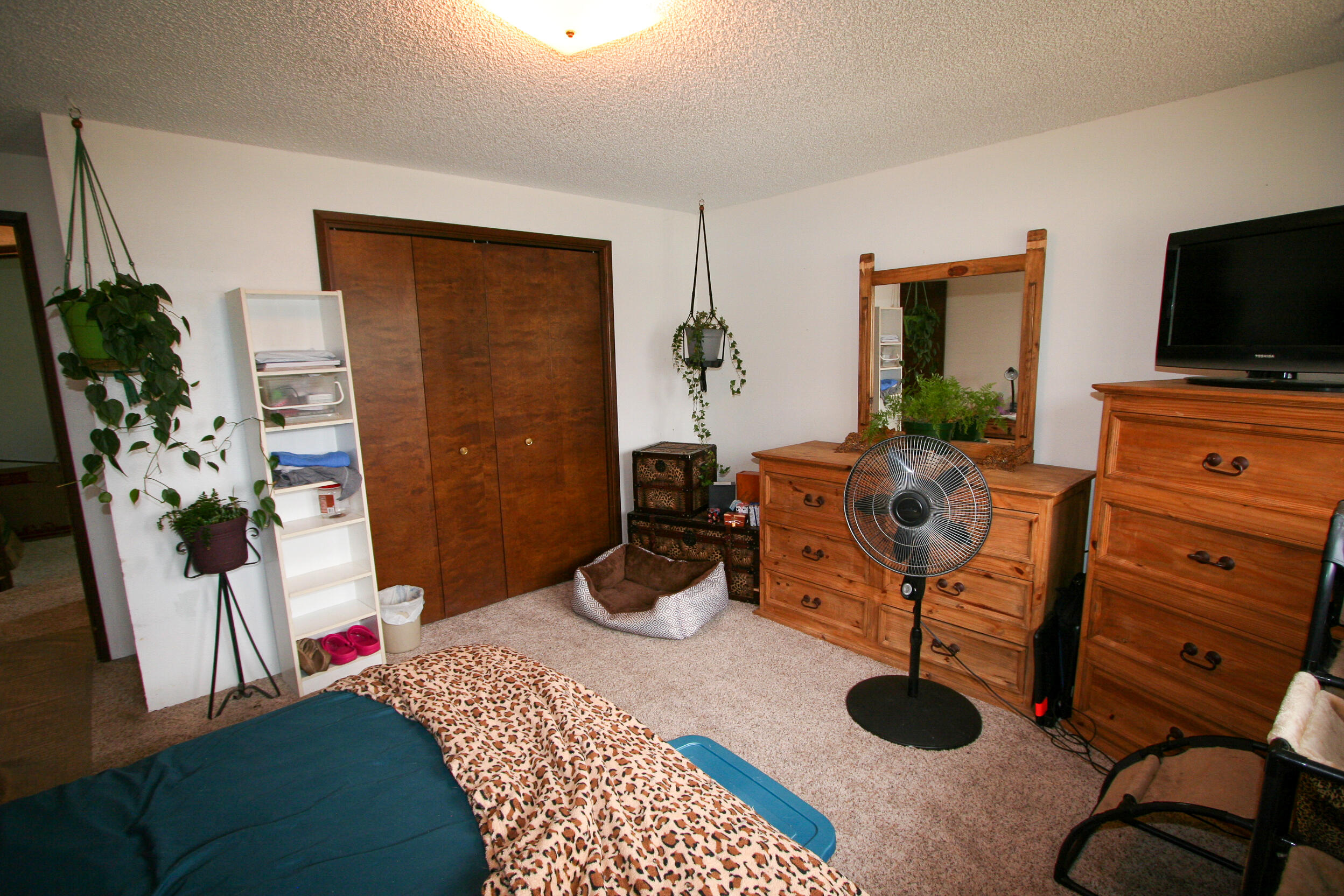 Cypress Villa - Residential