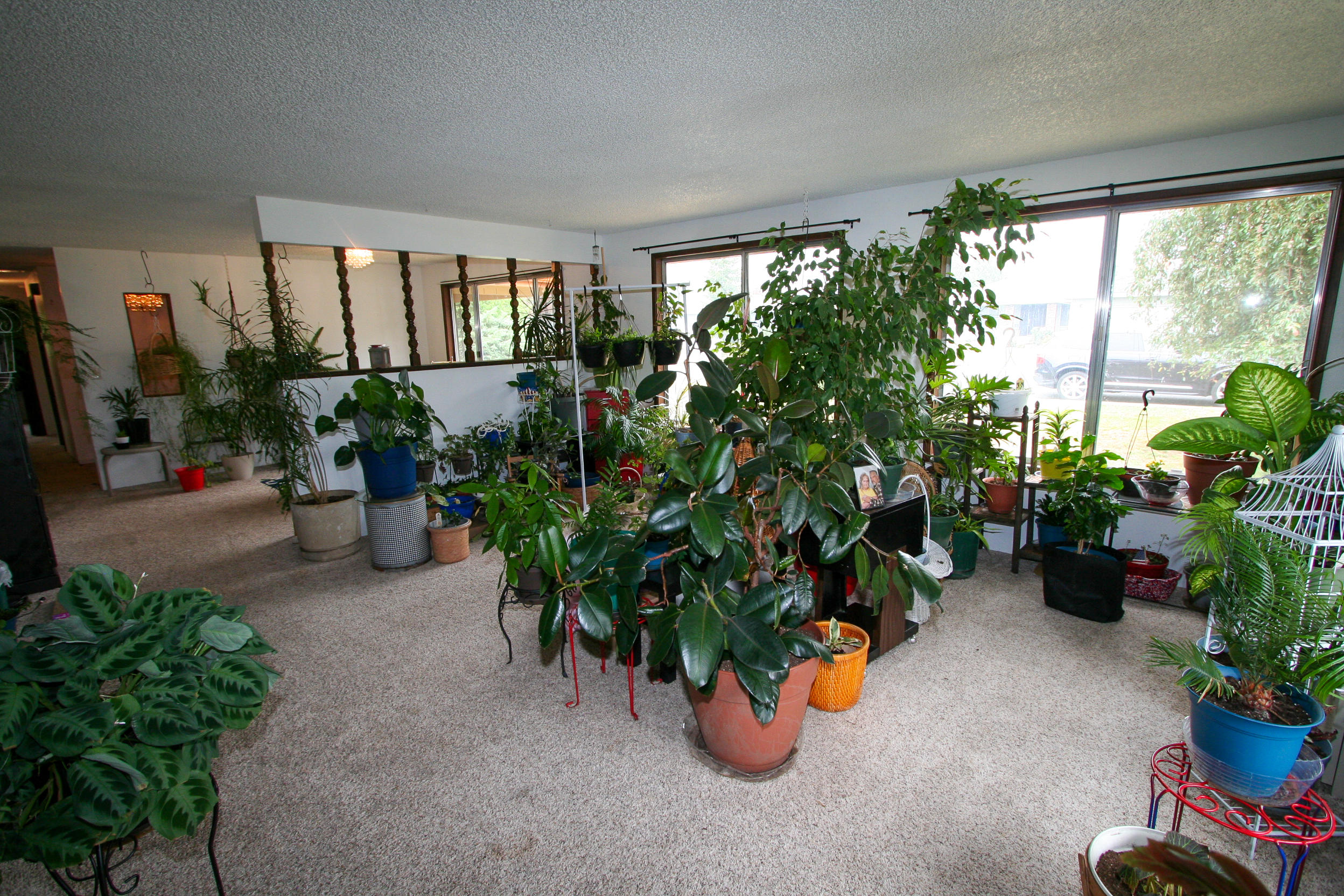 Cypress Villa - Residential