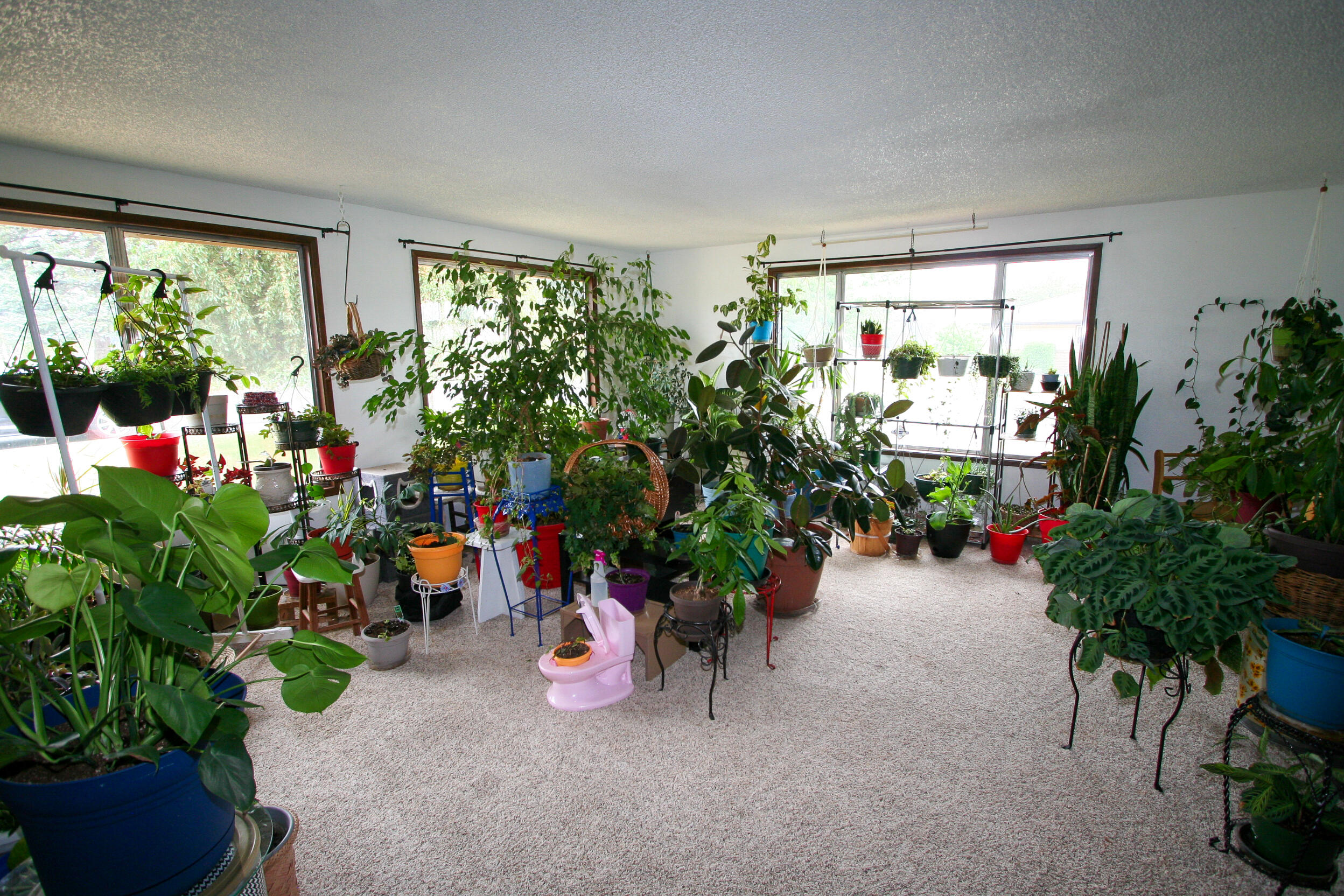 Cypress Villa - Residential