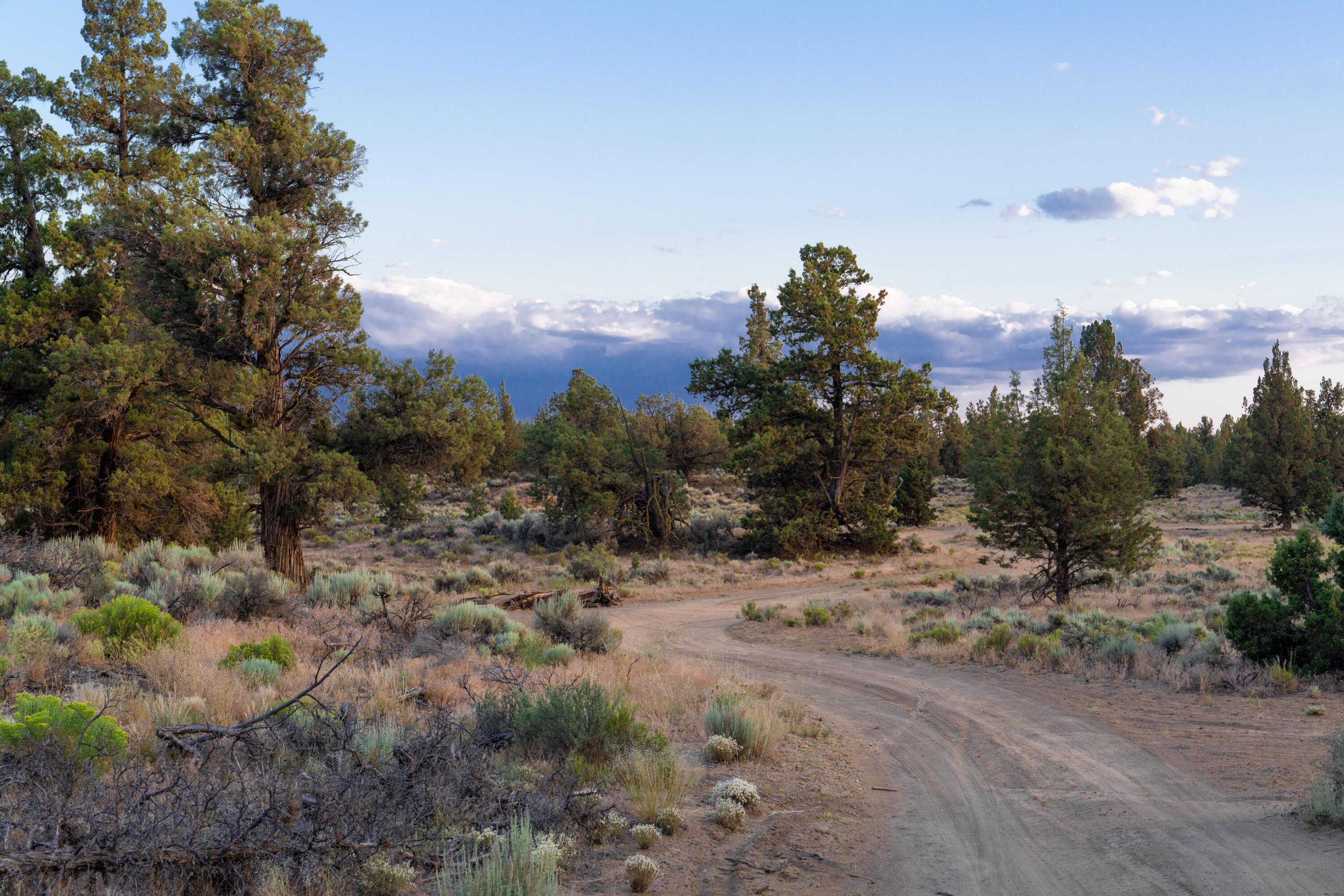 Boonesborough - Residential