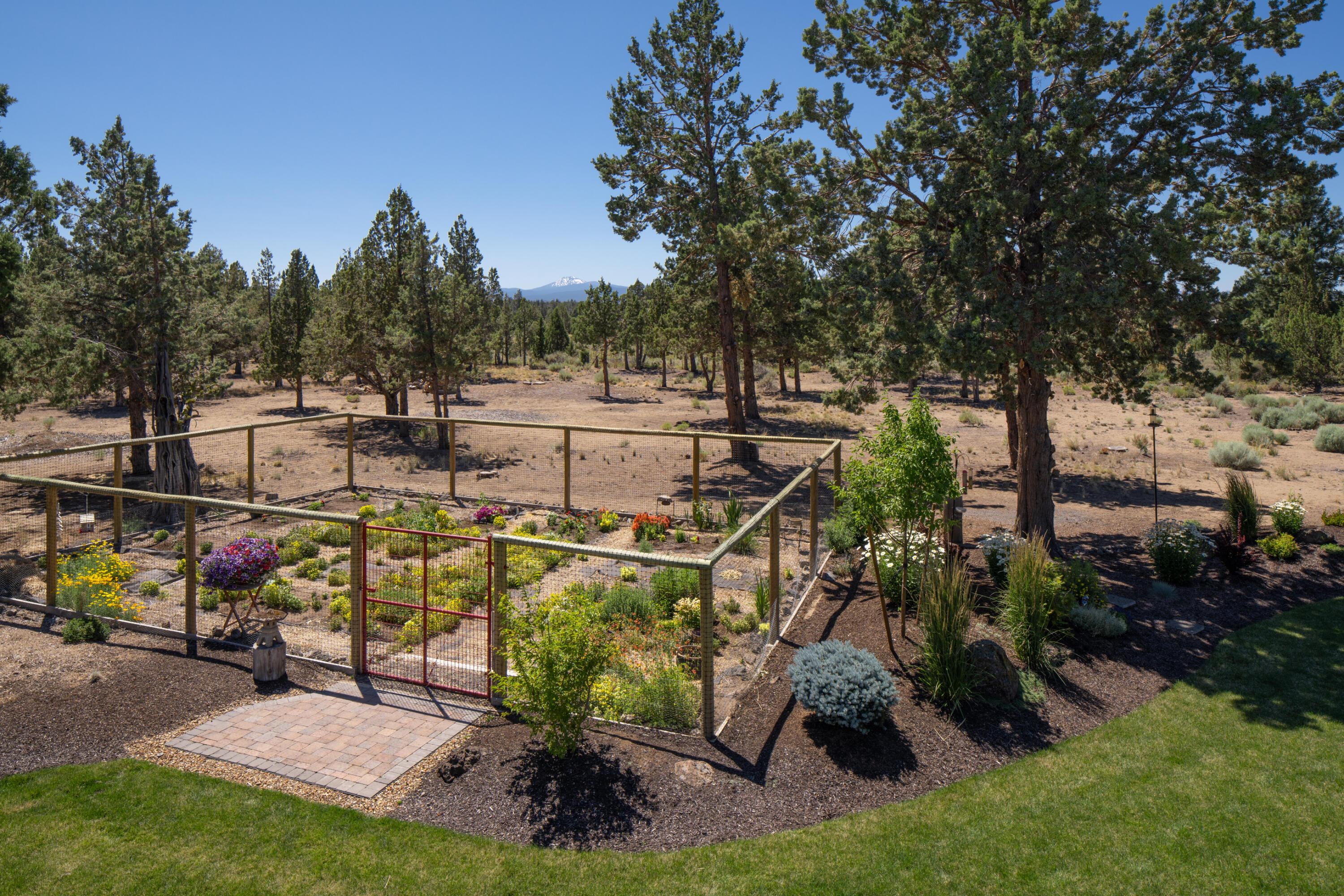 Boonesborough - Residential