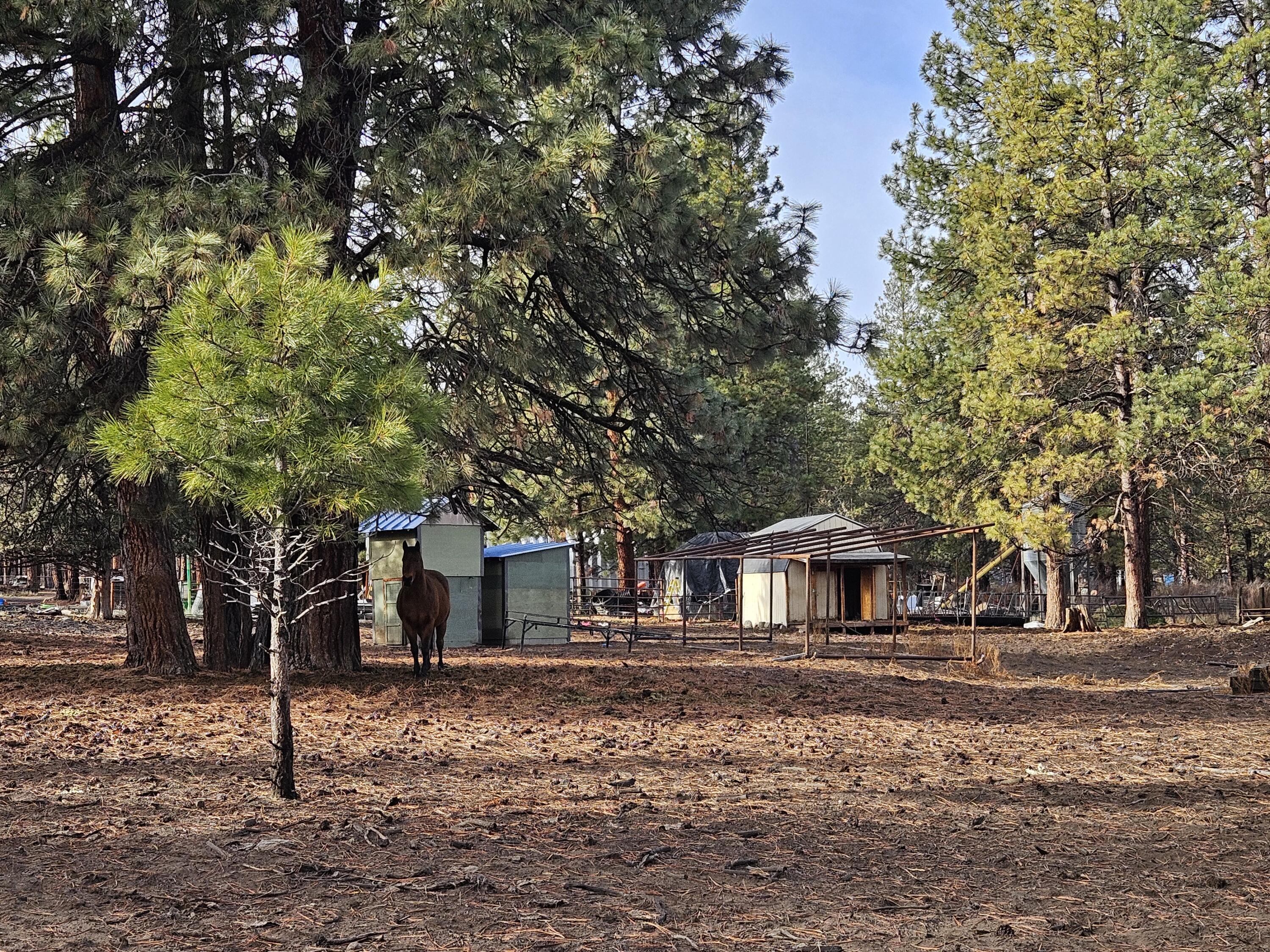 Klamath Falls Forest Estates -Hwy 66 Unit -Plat No. 2 - Land