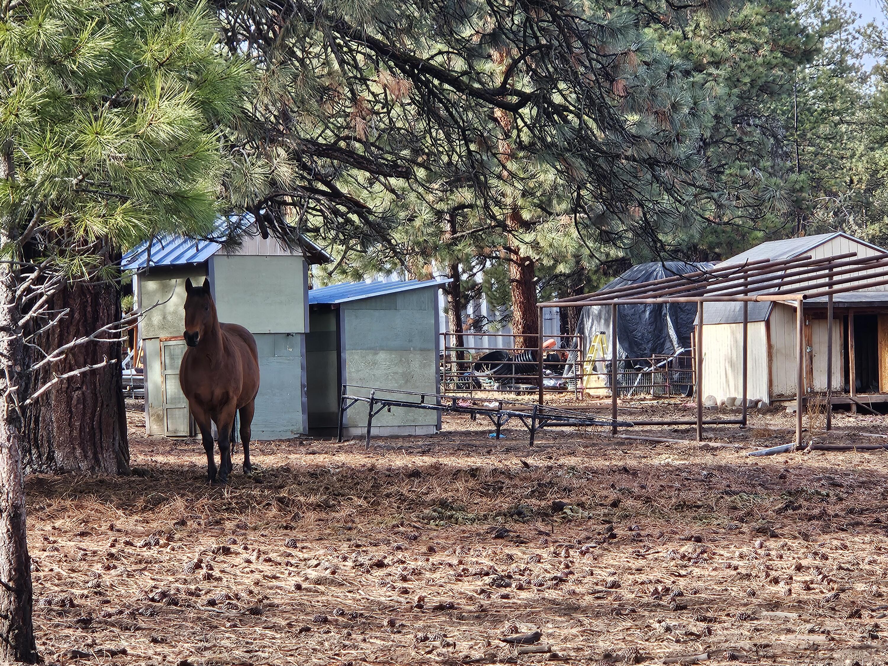 Klamath Falls Forest Estates -Hwy 66 Unit -Plat No. 2 - Land
