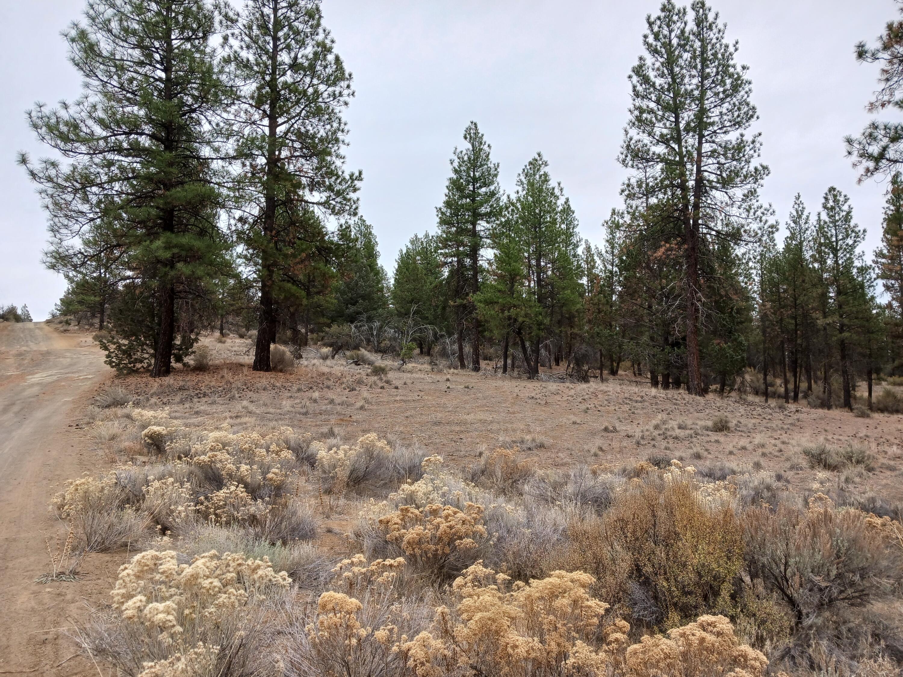 Klamath Forest Estates -First Addition - Land