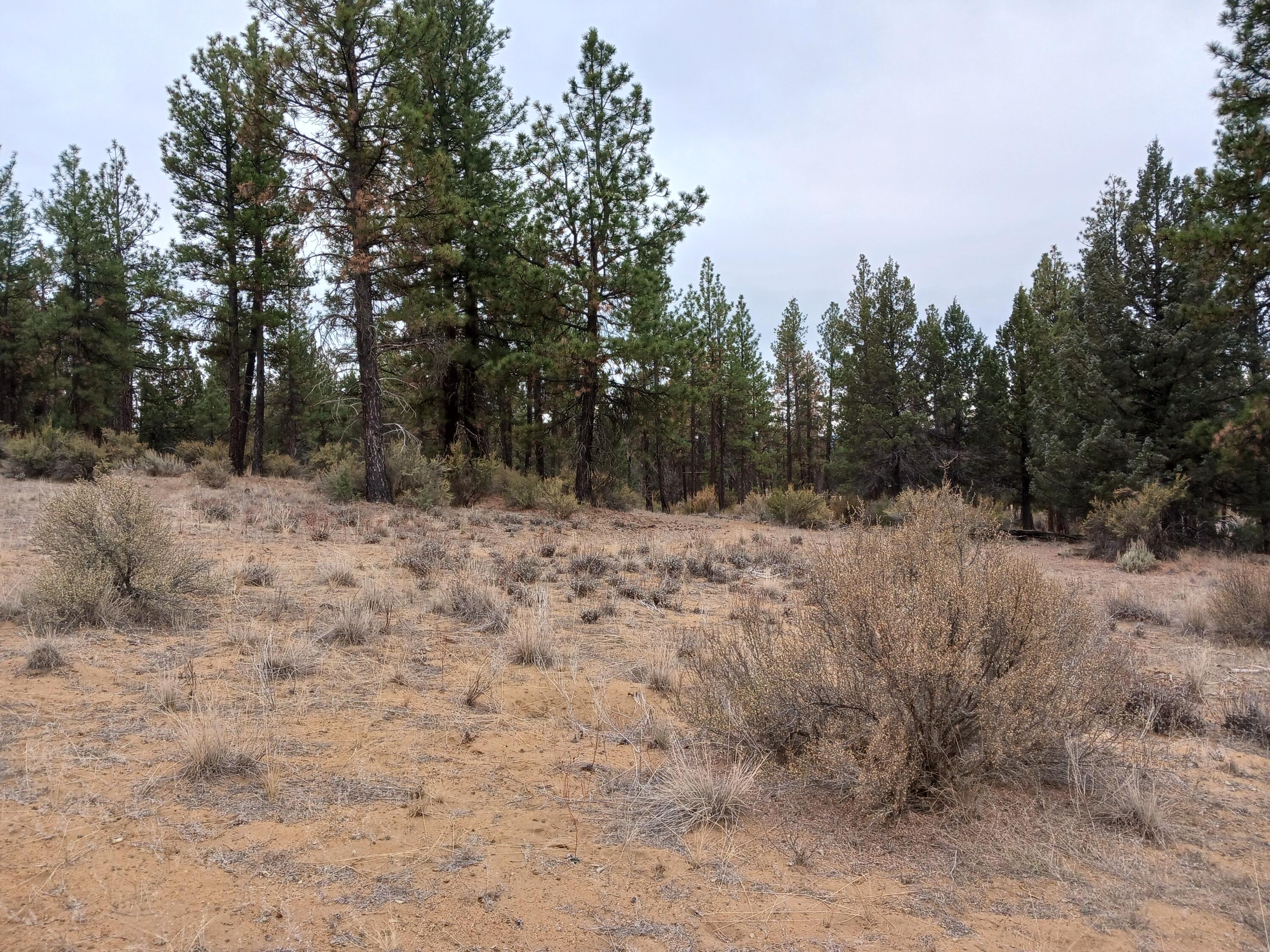 Klamath Forest Estates -First Addition - Land
