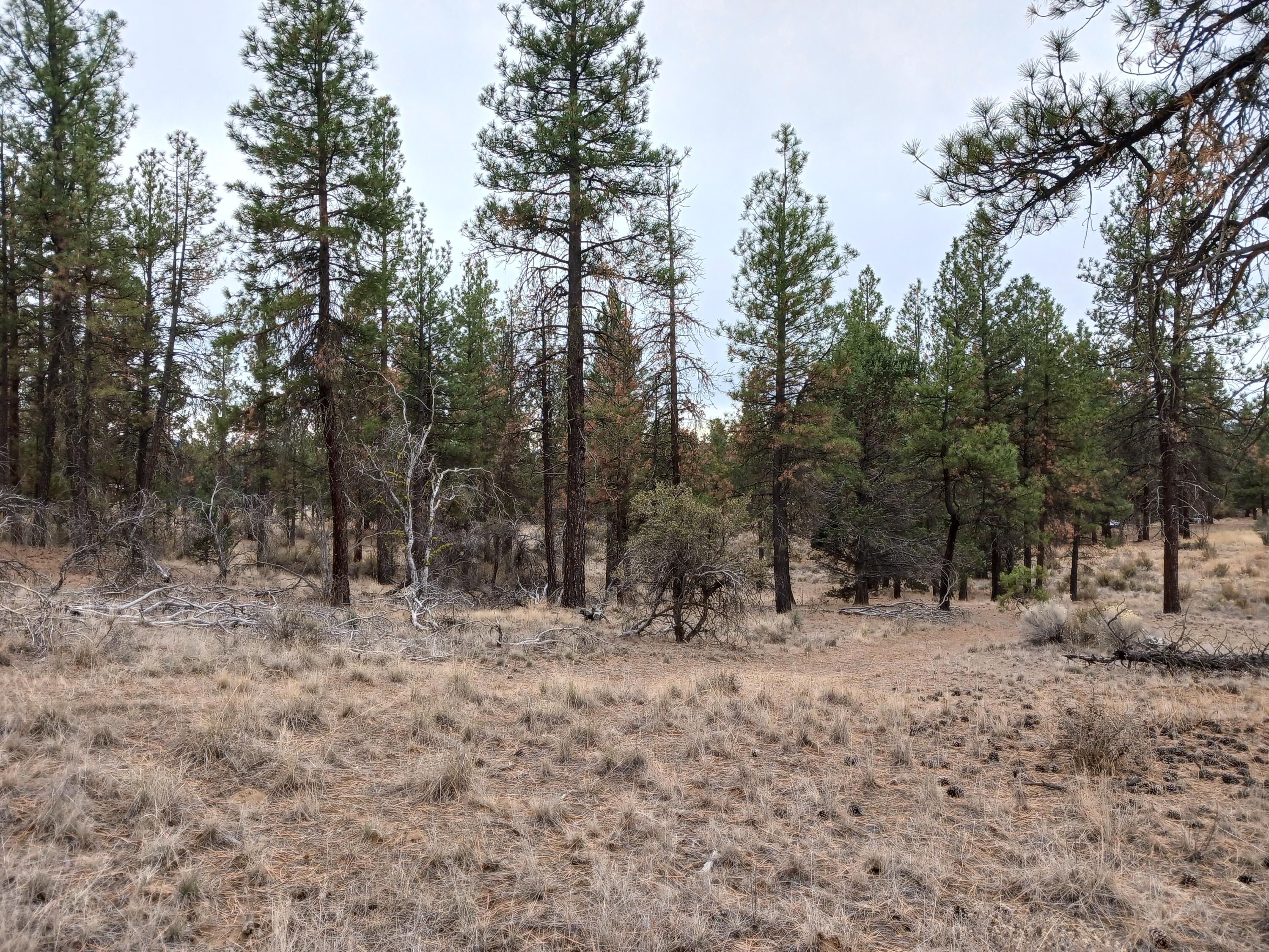Klamath Forest Estates -First Addition - Land