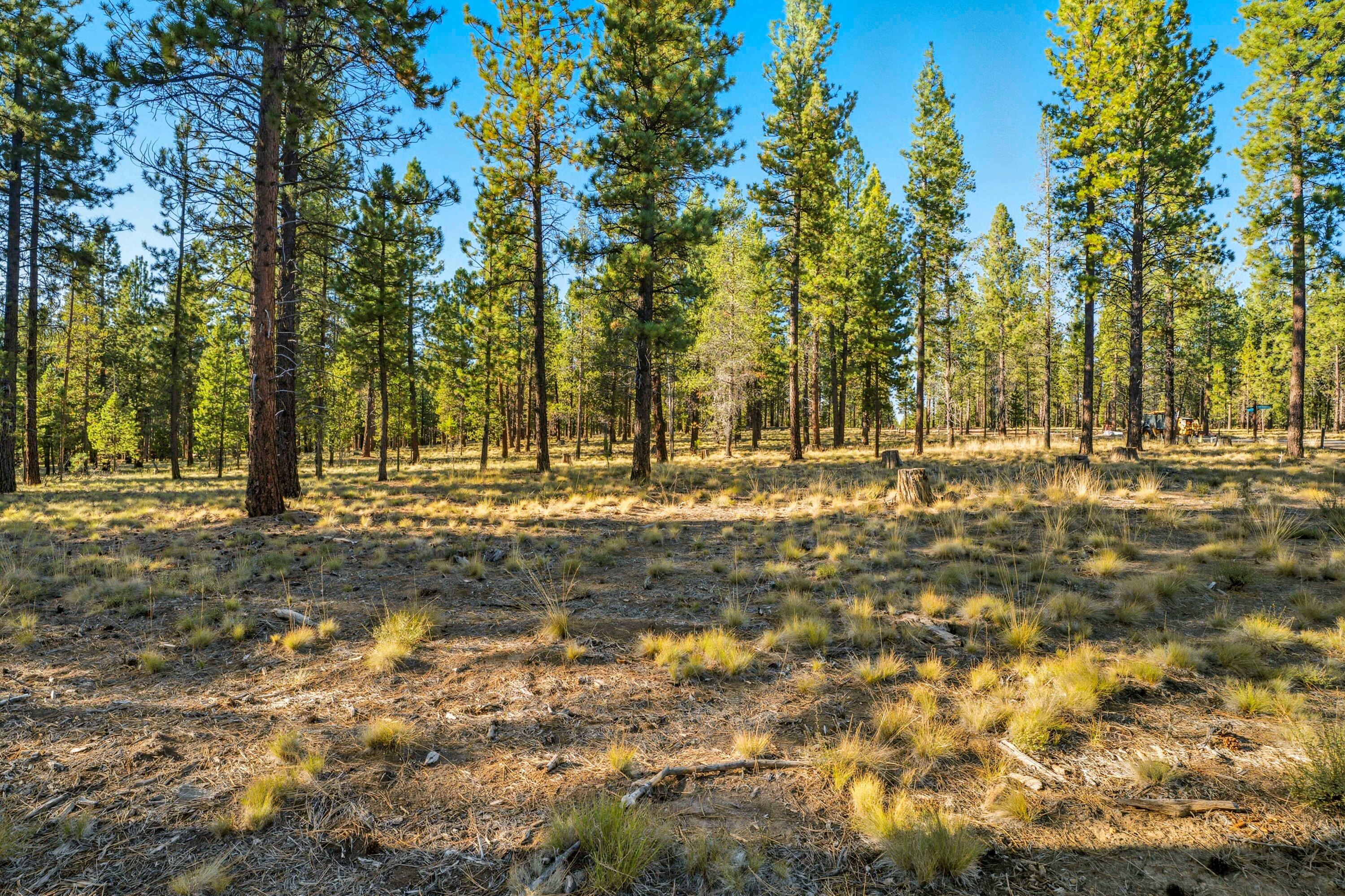 56476 Elk Run Drive 495