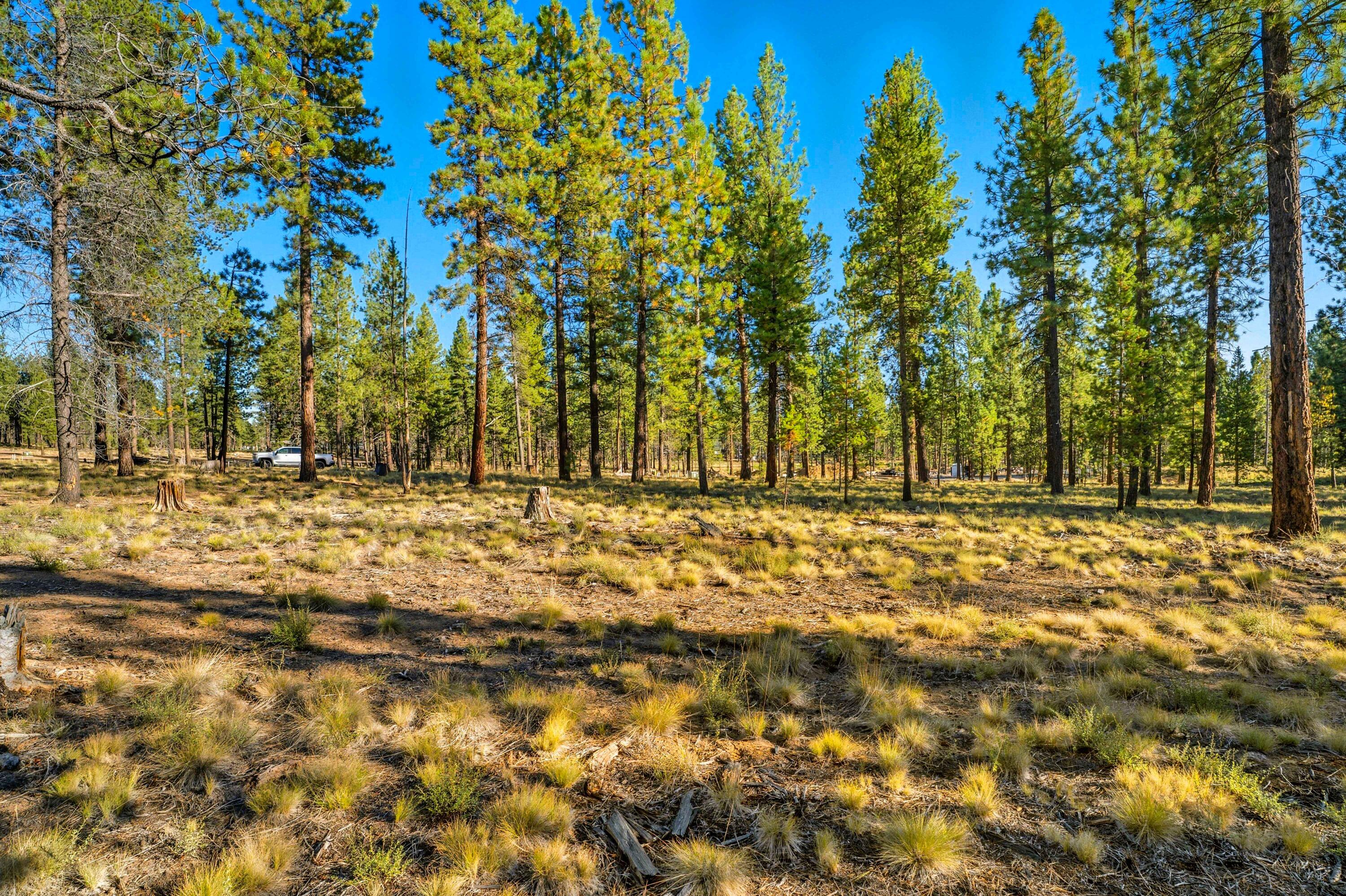 56476 Elk Run Drive 495