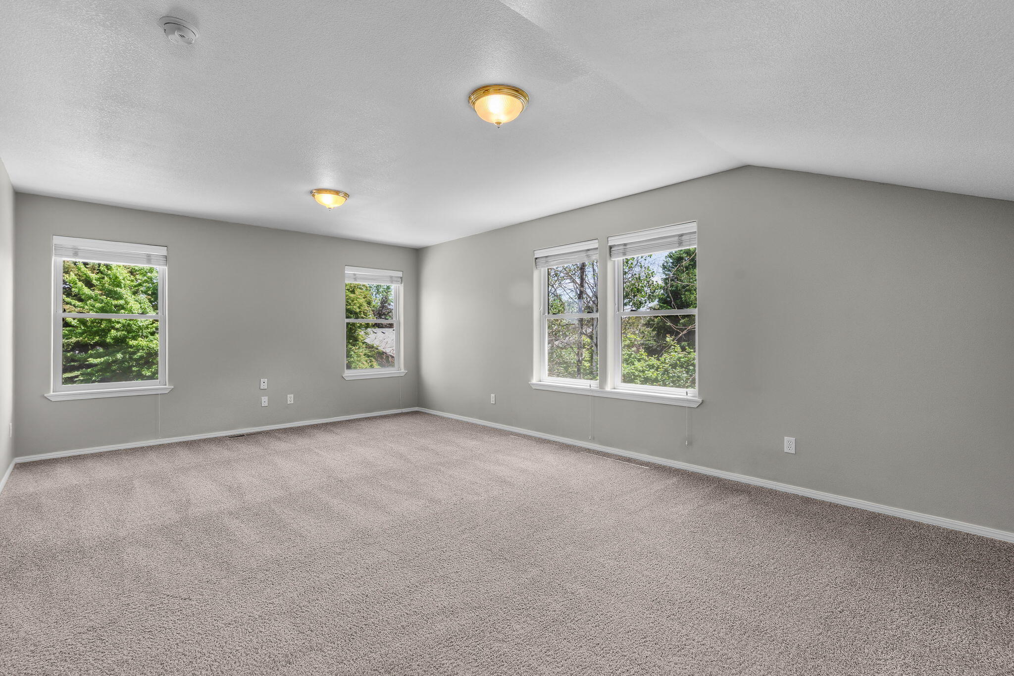 Oak Tree - Residential