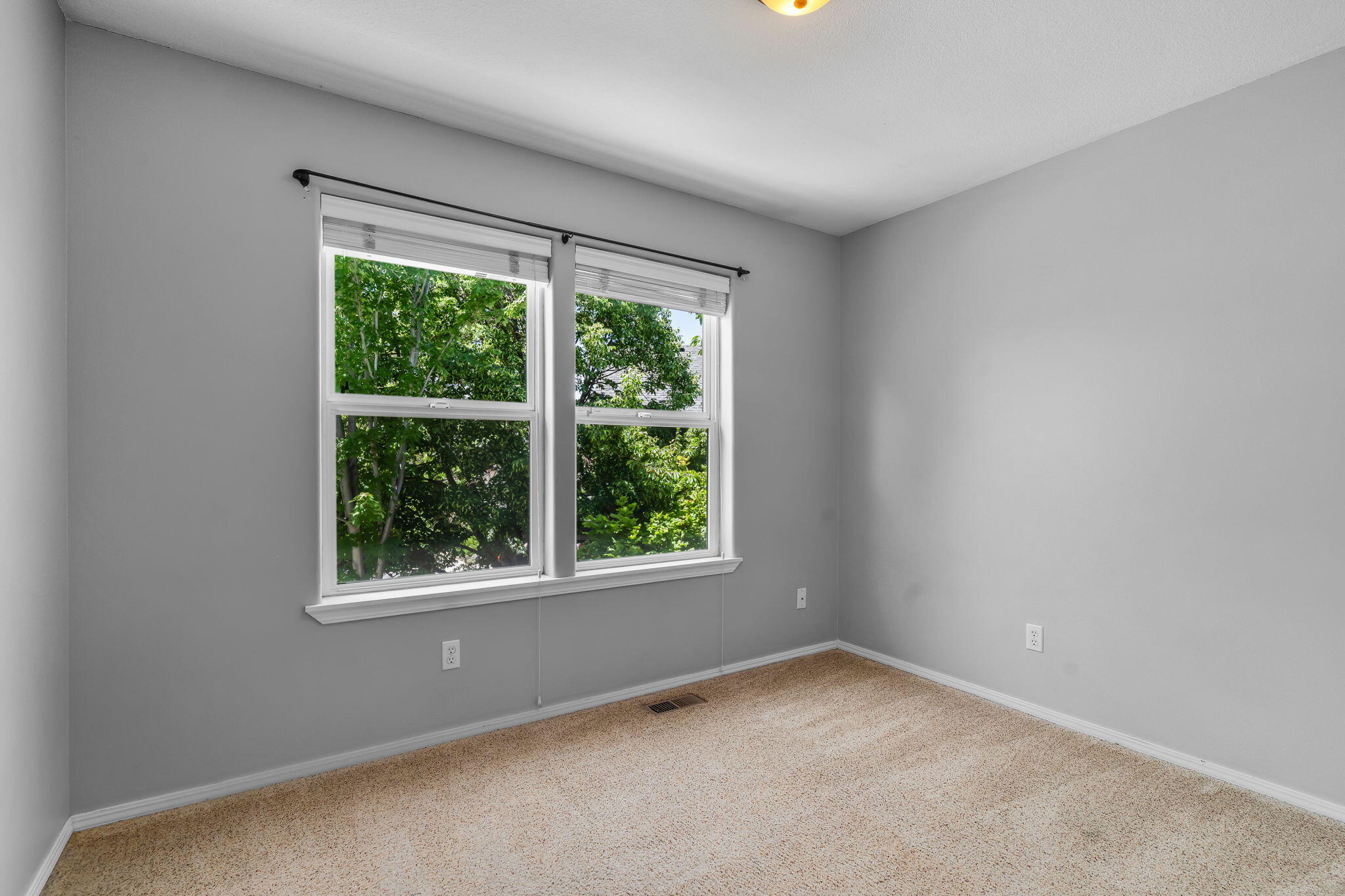 Oak Tree - Residential