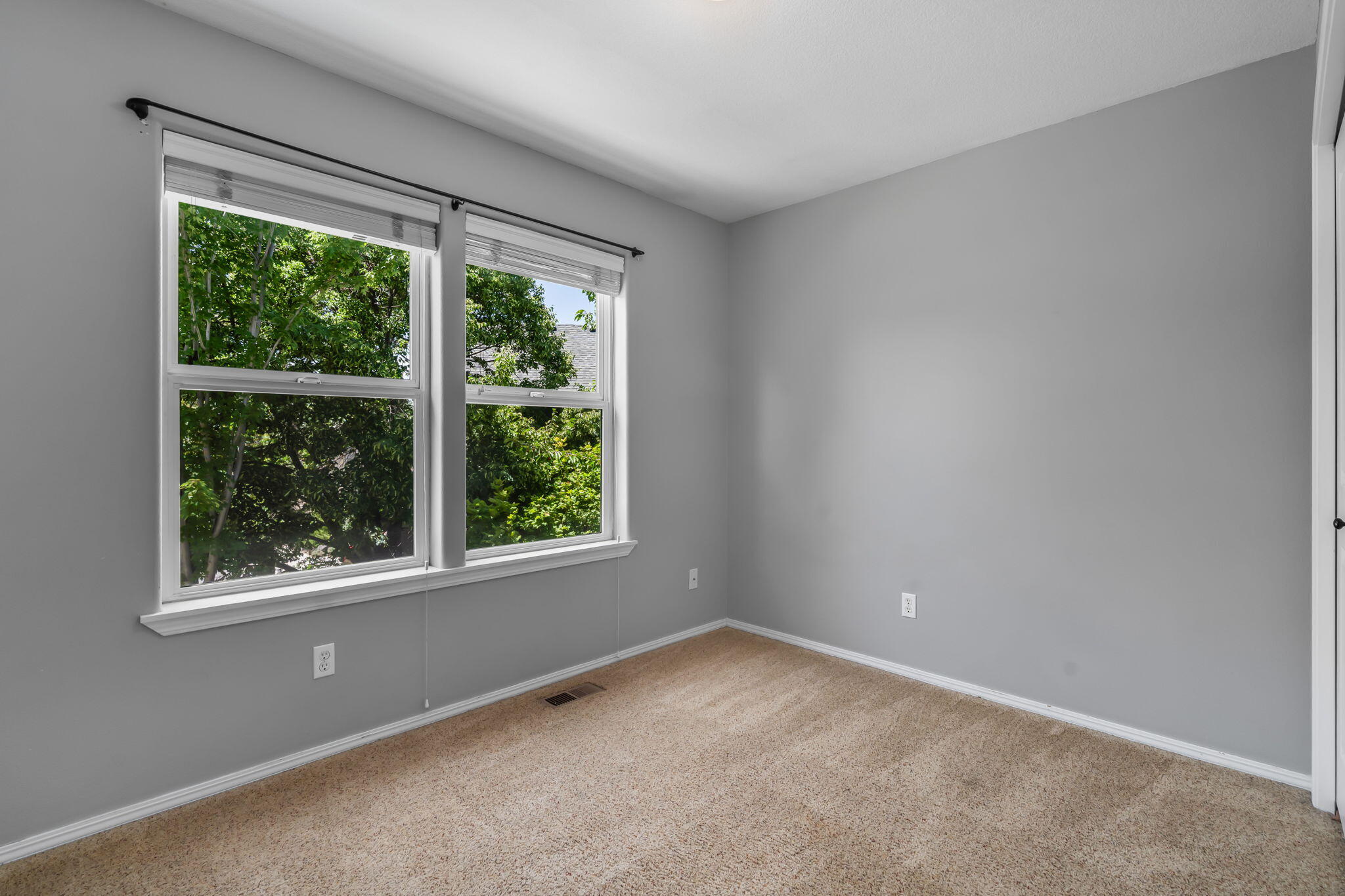 Oak Tree - Residential