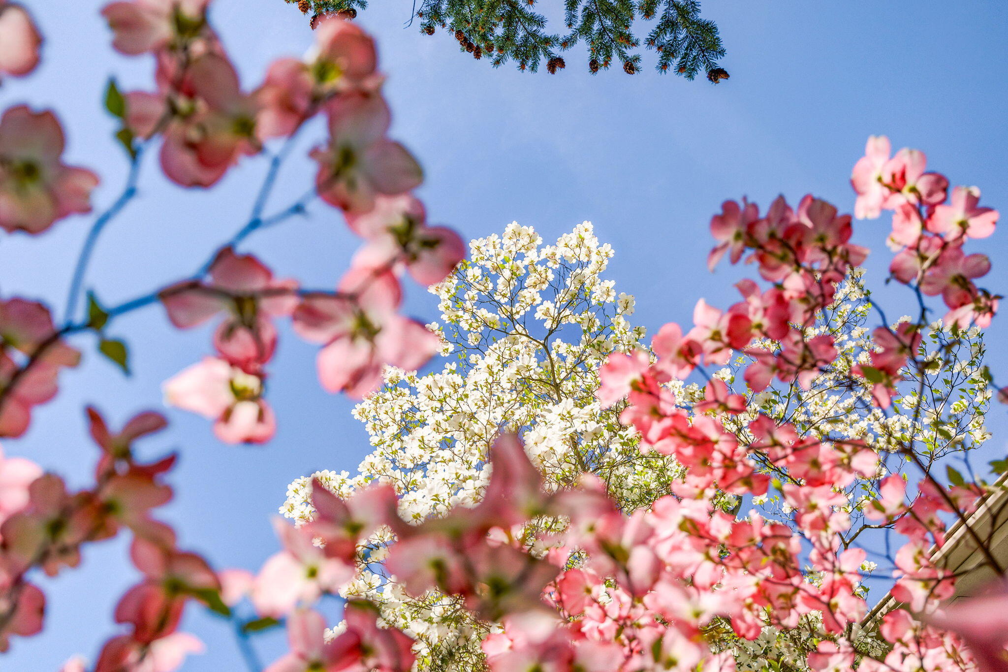 Highland Park Tract (ashland) - Residential