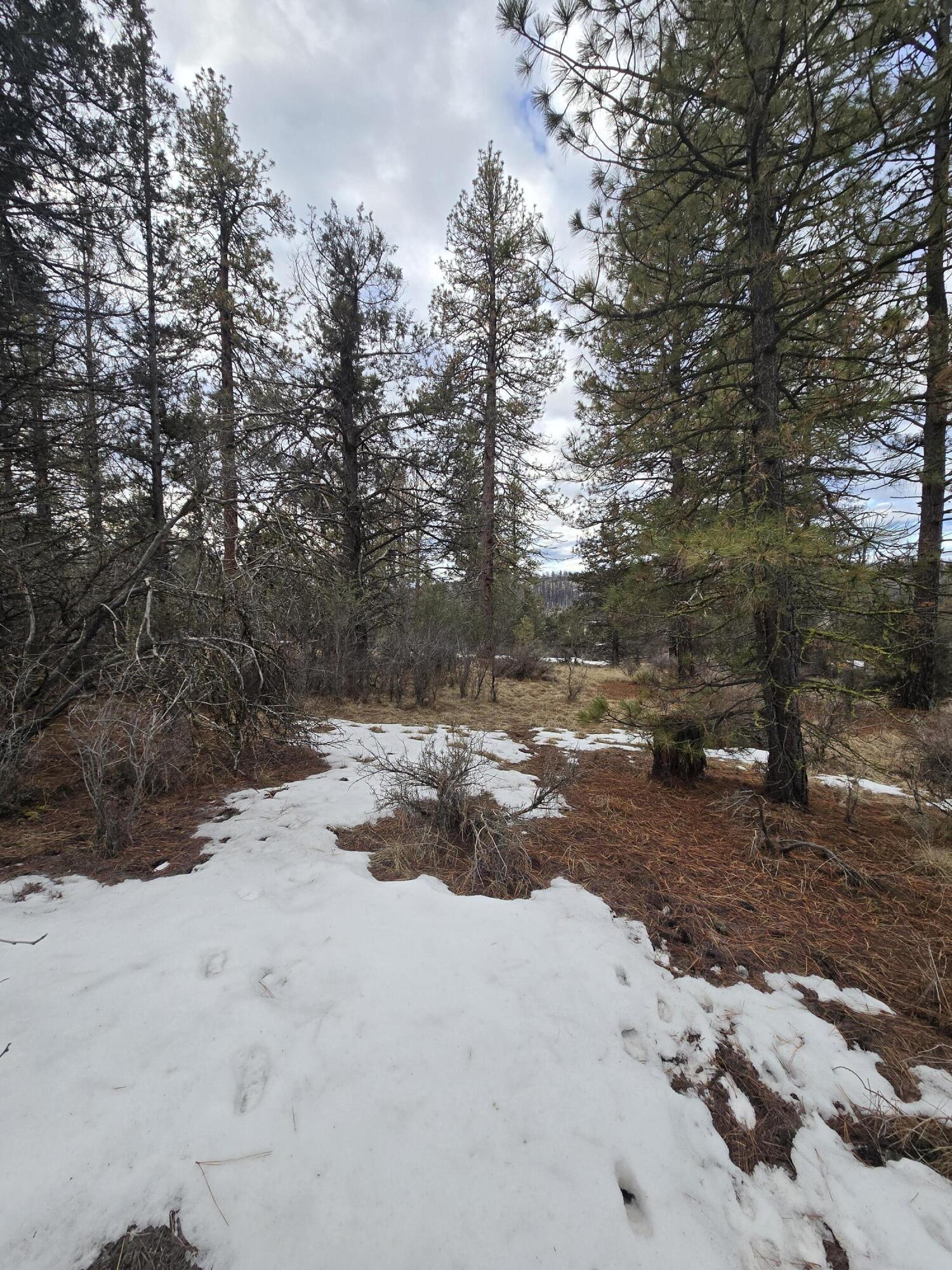 Klamath Forest Estates - Land