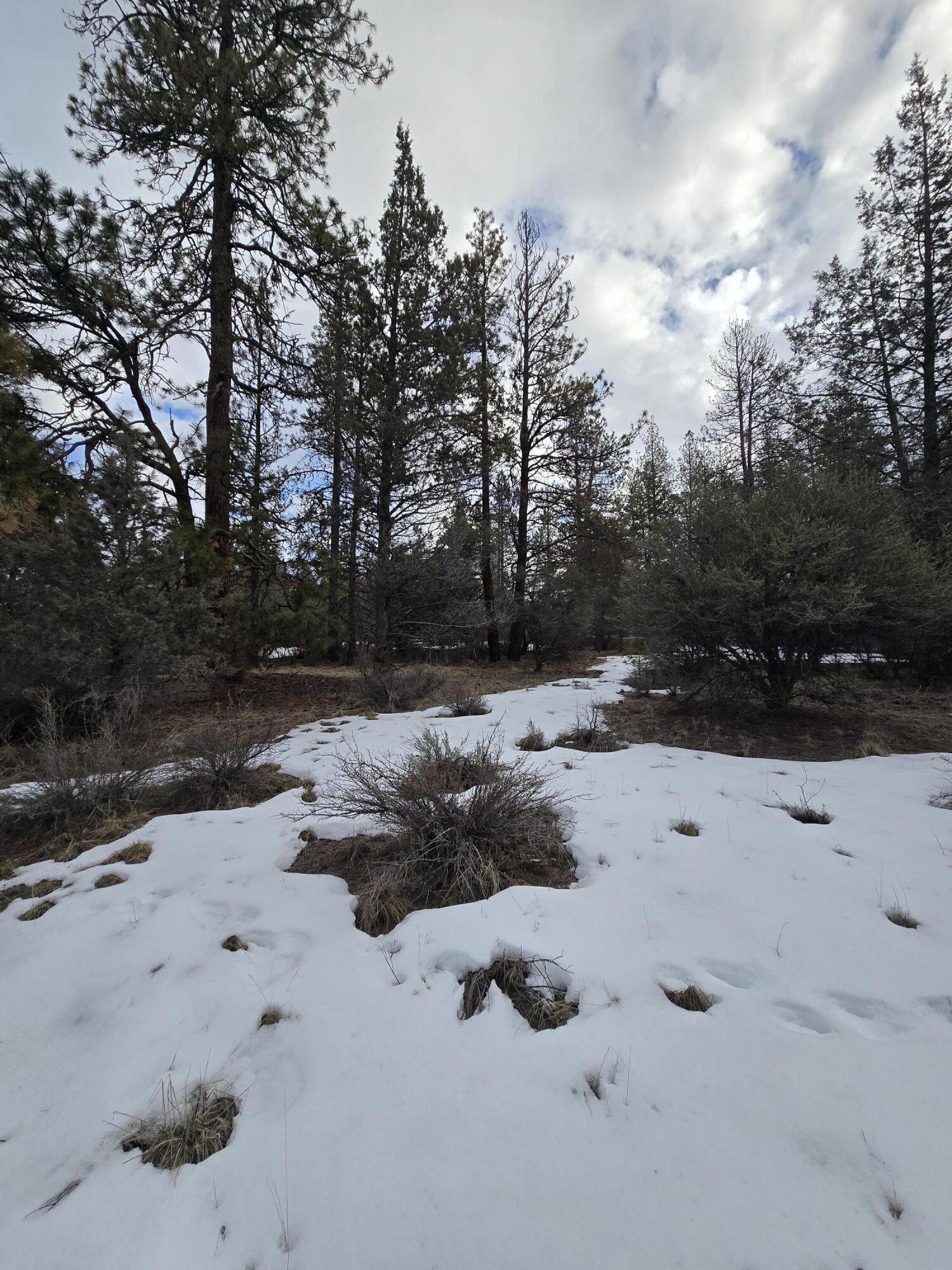 Klamath Forest Estates - Land