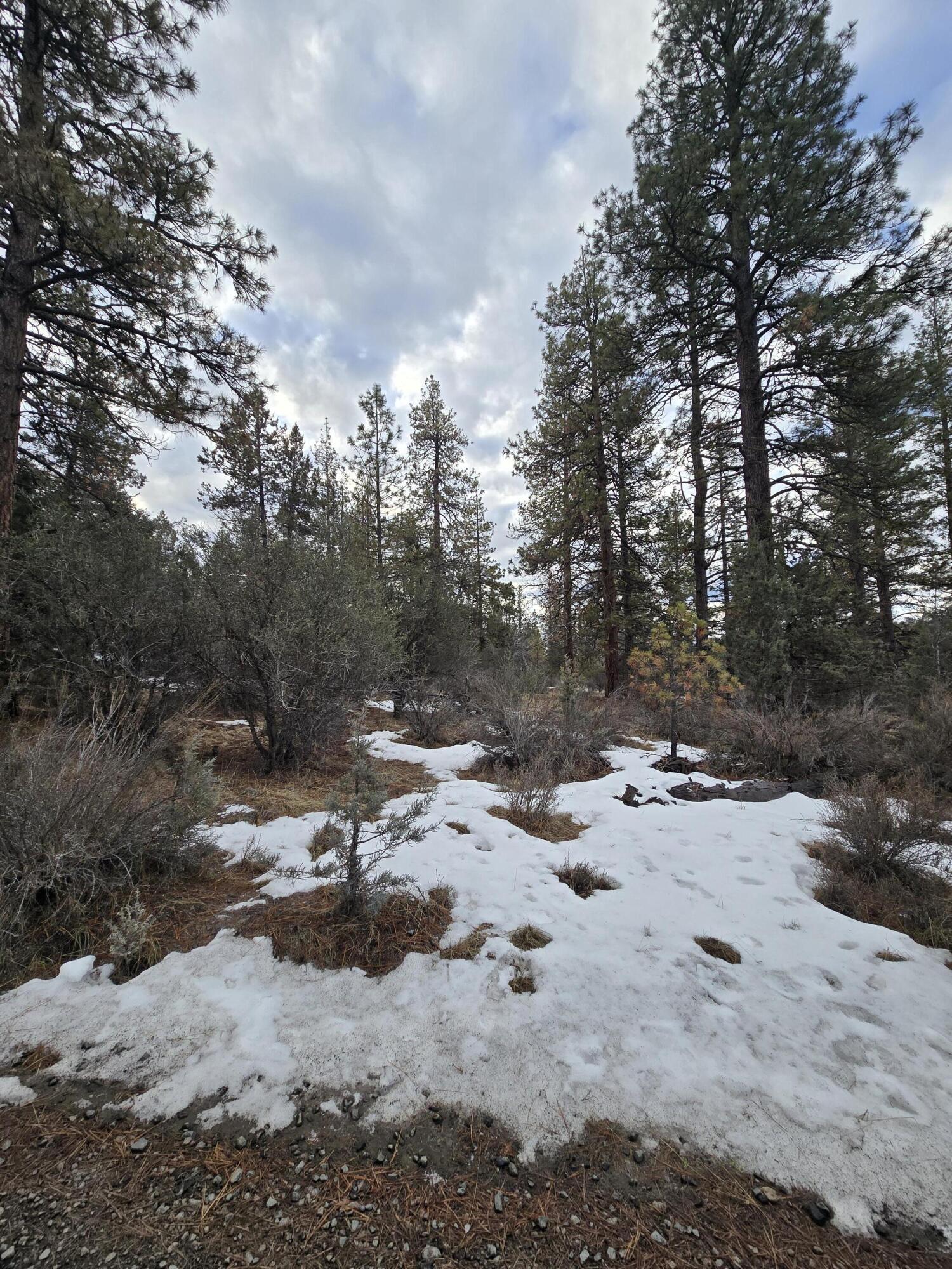 Klamath Forest Estates - Land