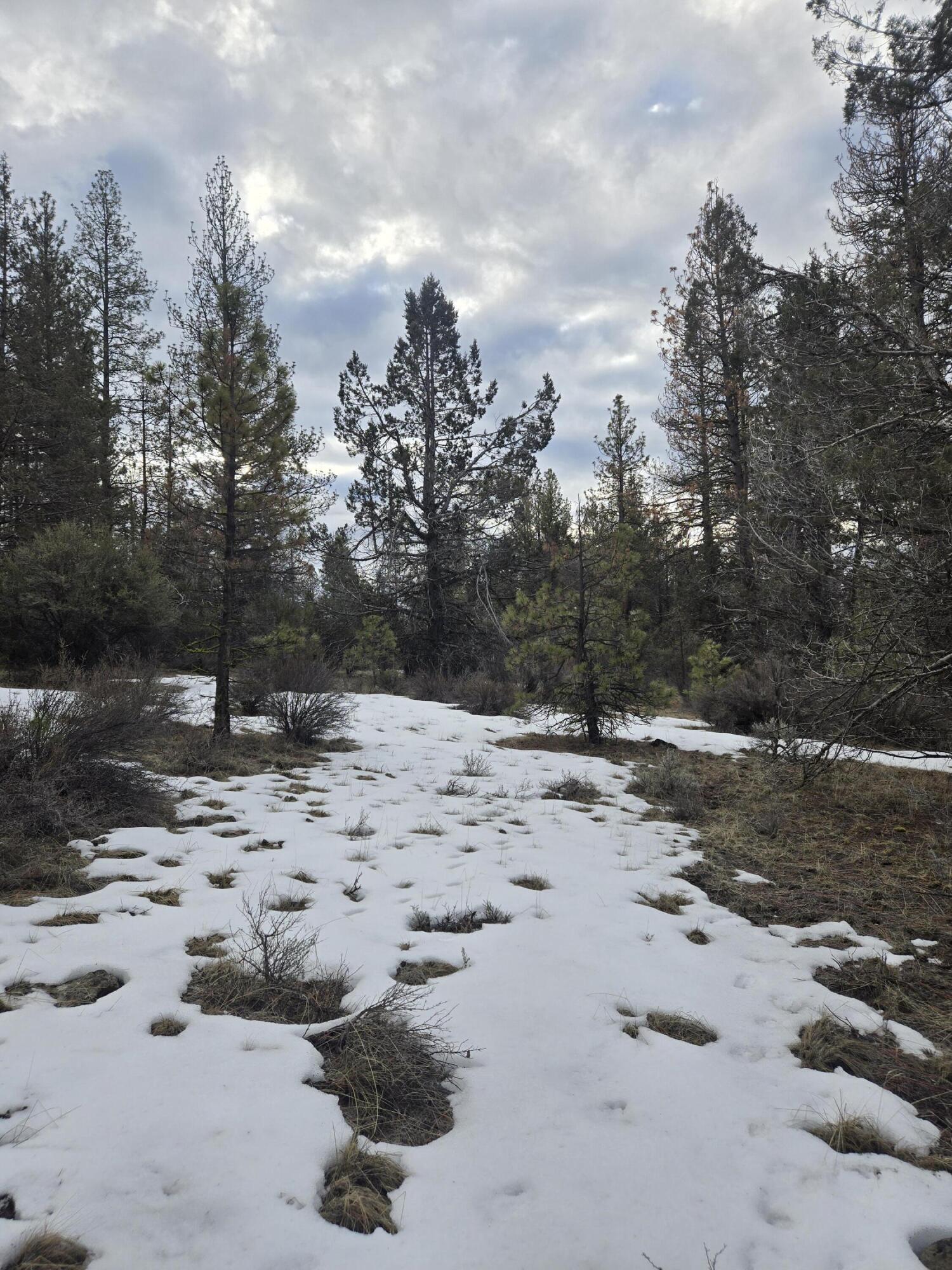 Klamath Forest Estates - Land