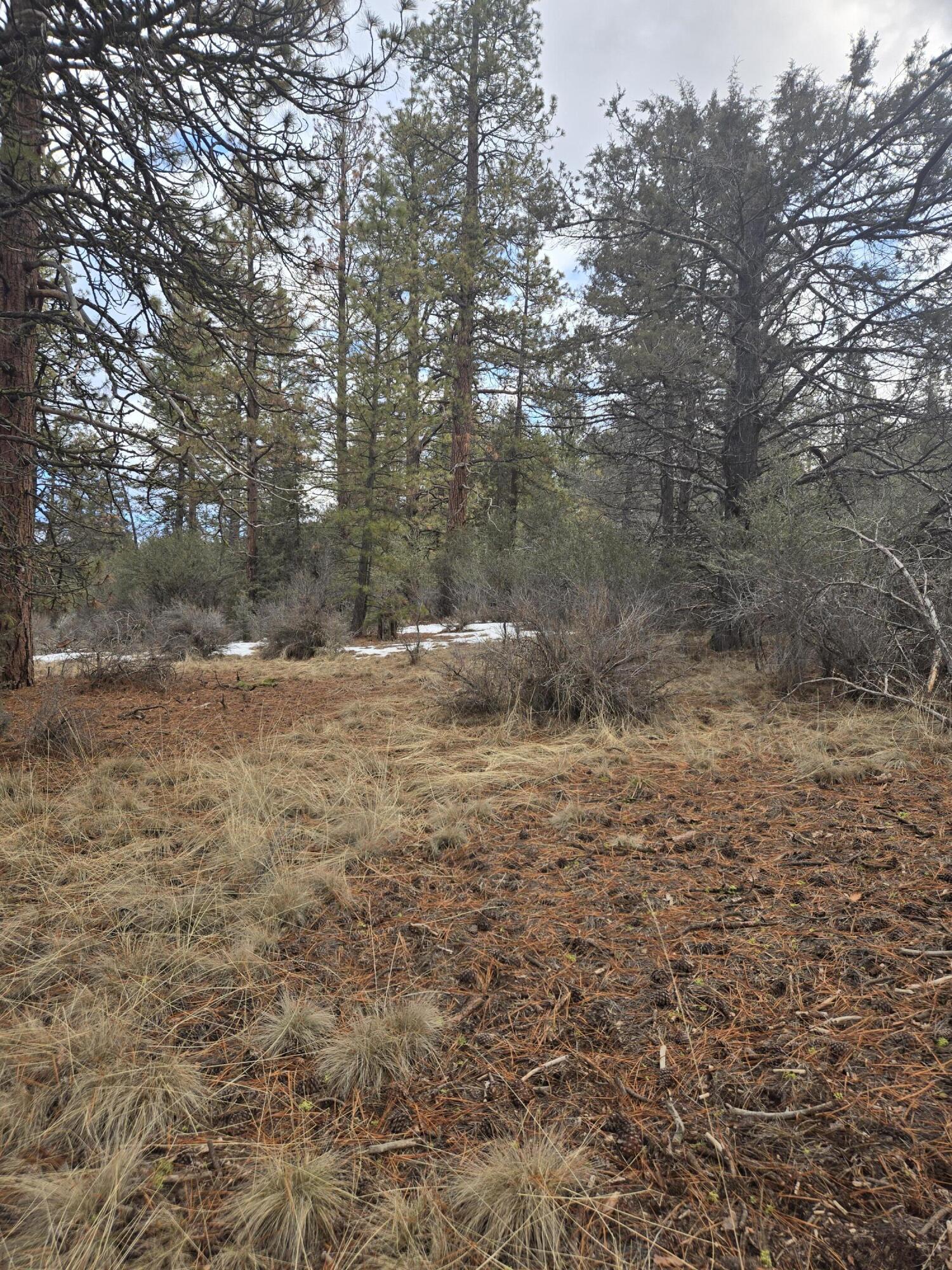 Klamath Forest Estates - Land