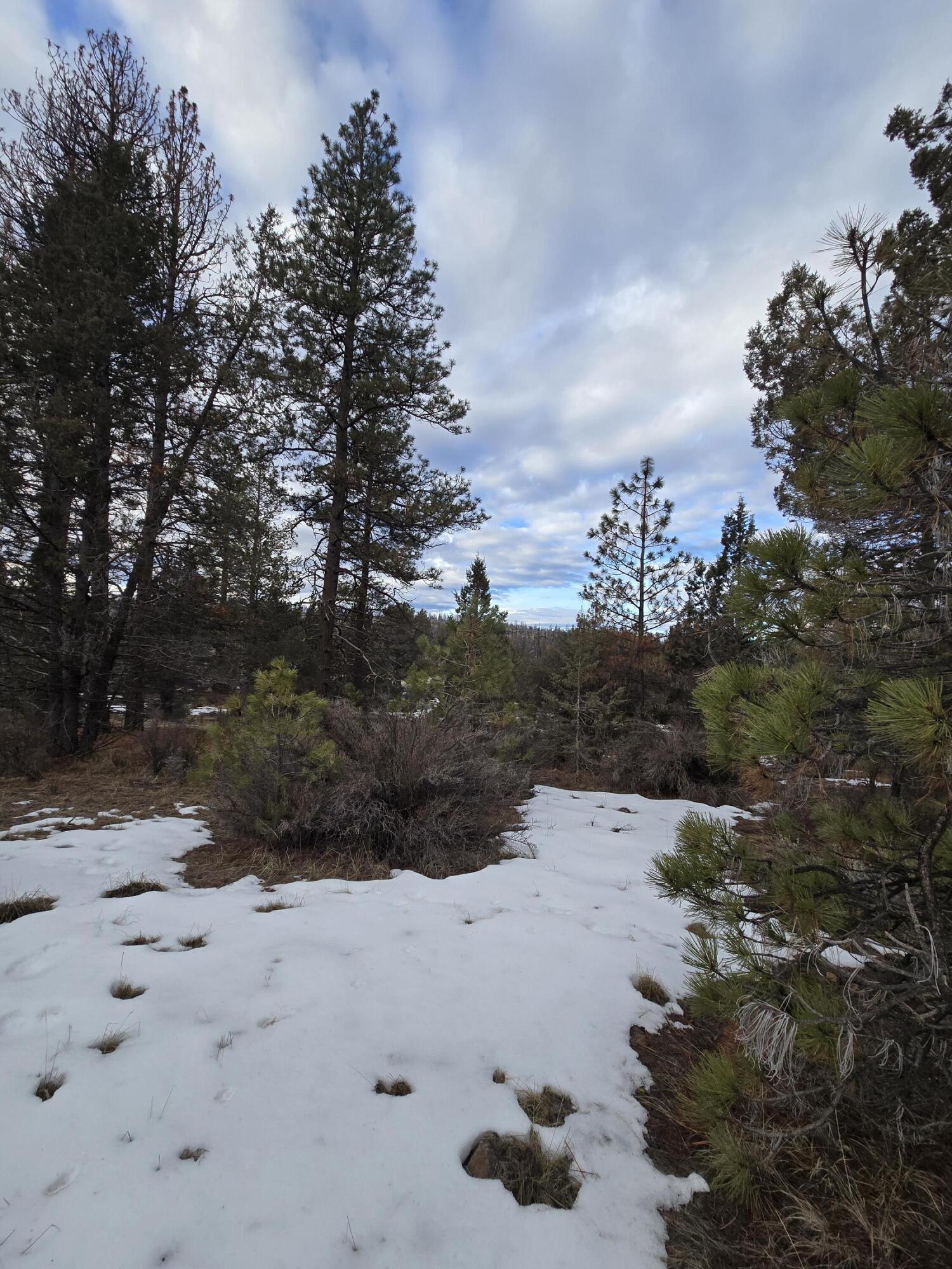 Klamath Forest Estates - Land