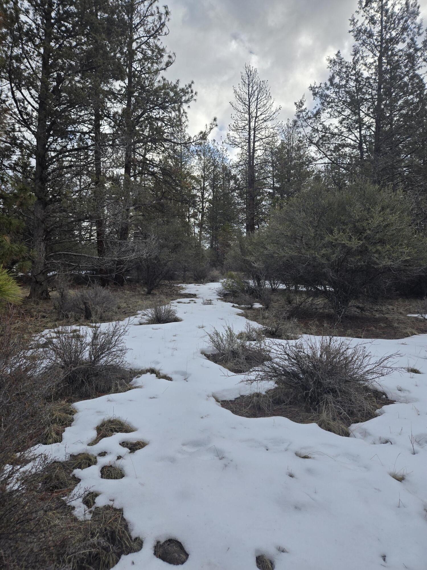 Klamath Forest Estates - Land