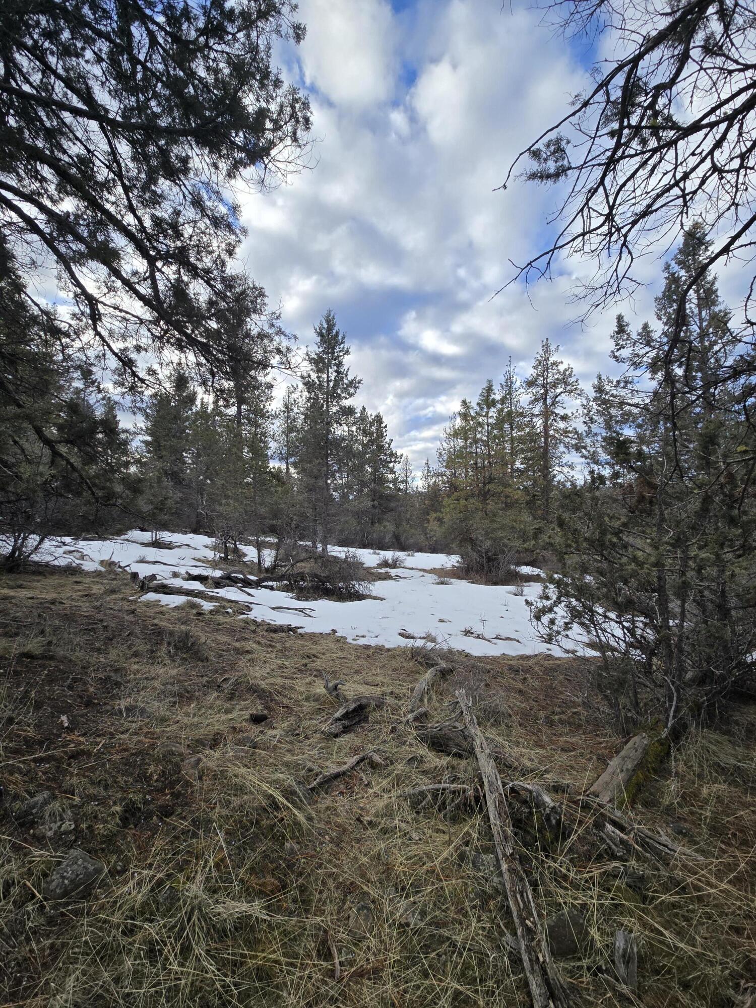 Klamath Forest Estates - Land