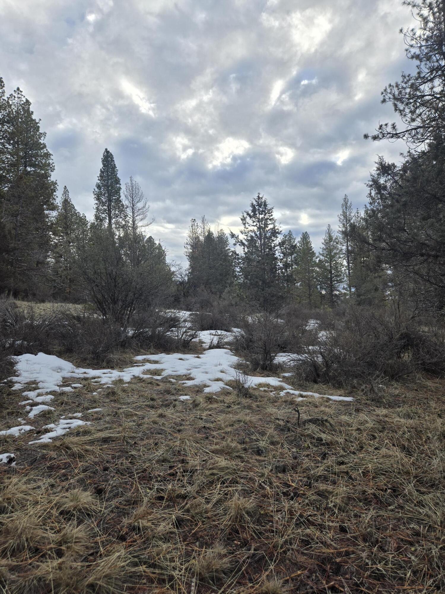 Klamath Forest Estates - Land