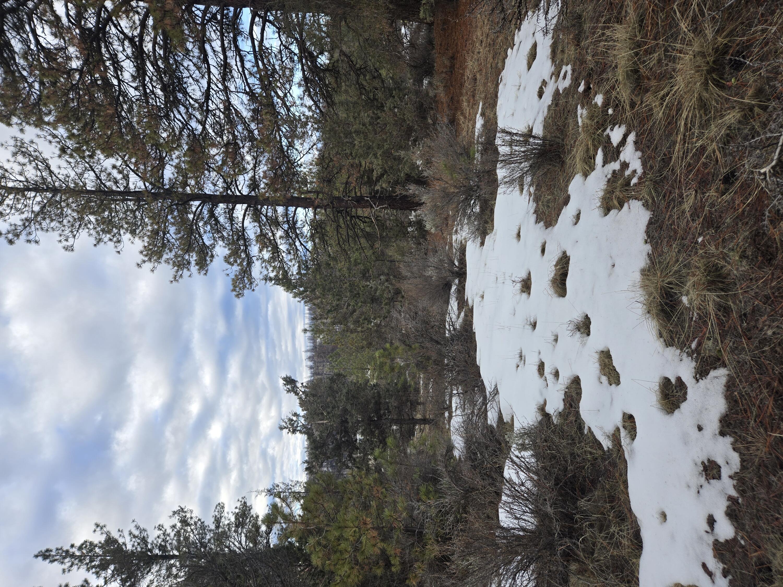 Klamath Forest Estates - Land