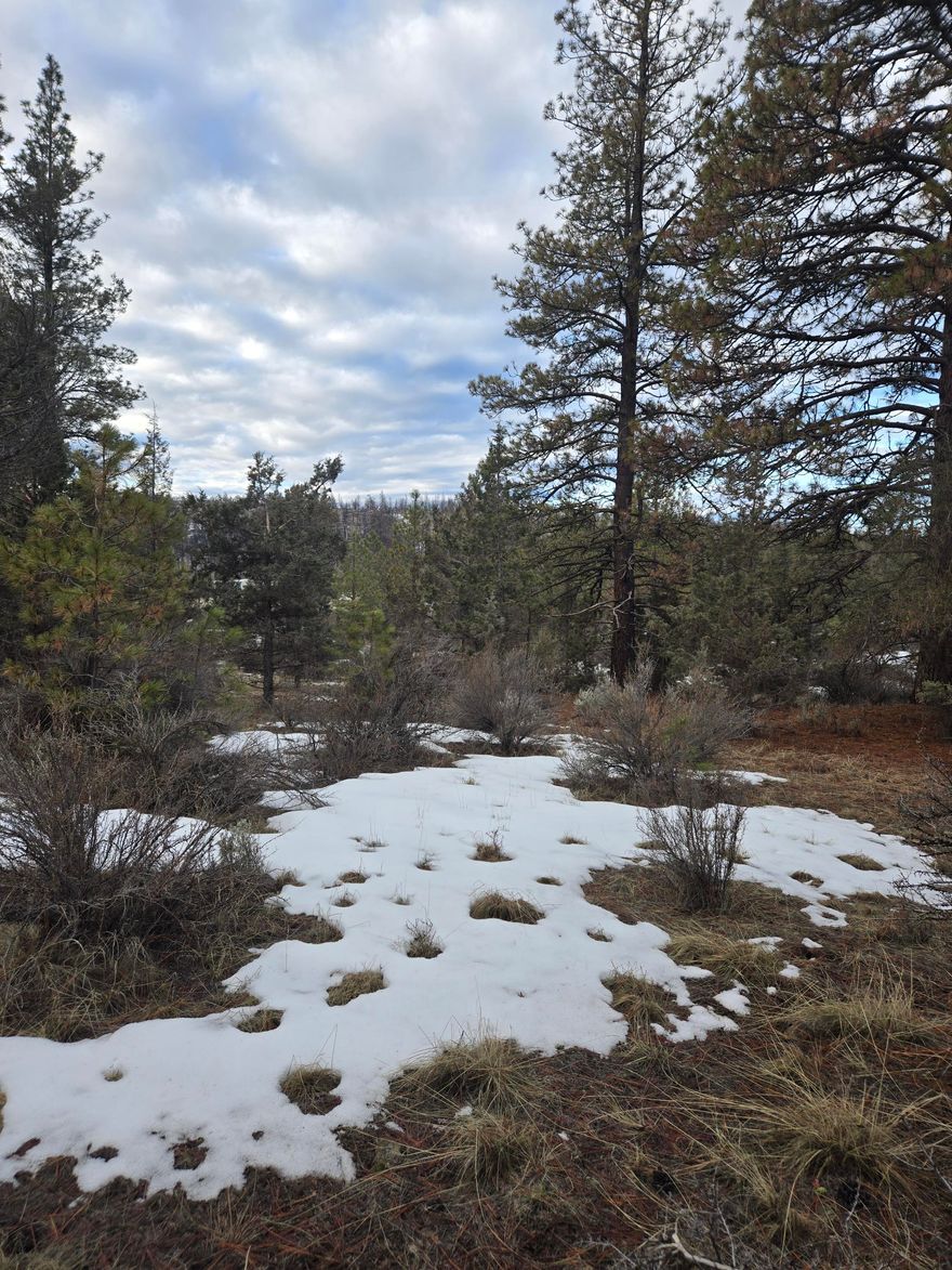 Beautiful lot over 4 acres off of Bly Mountain Cutoff.  Lots of trees and some level spots to build your dream home.  Buyer to do their own due diligence on use, utilities, septic, access, well and more.
