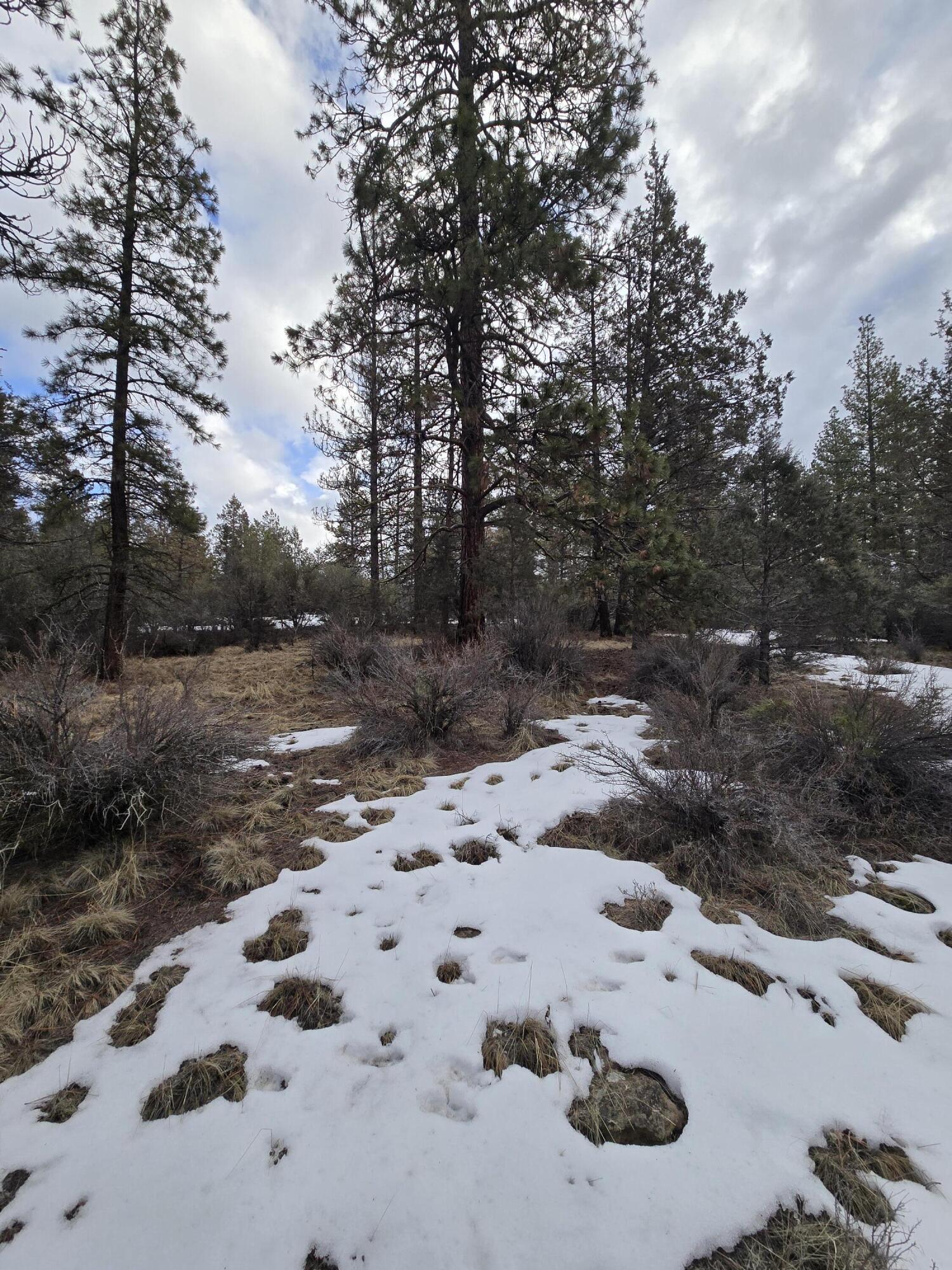 Klamath Forest Estates - Land