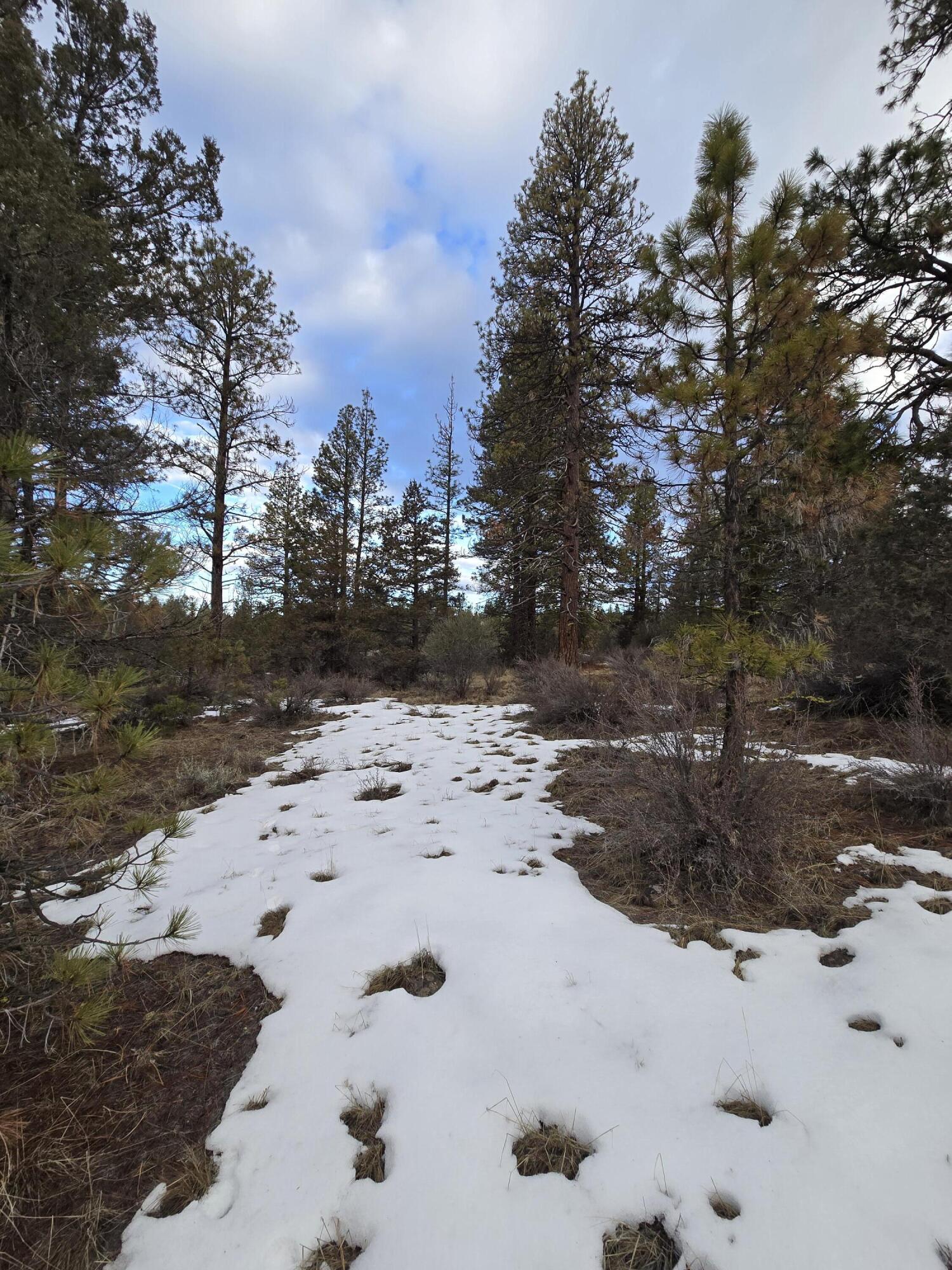Klamath Forest Estates - Land