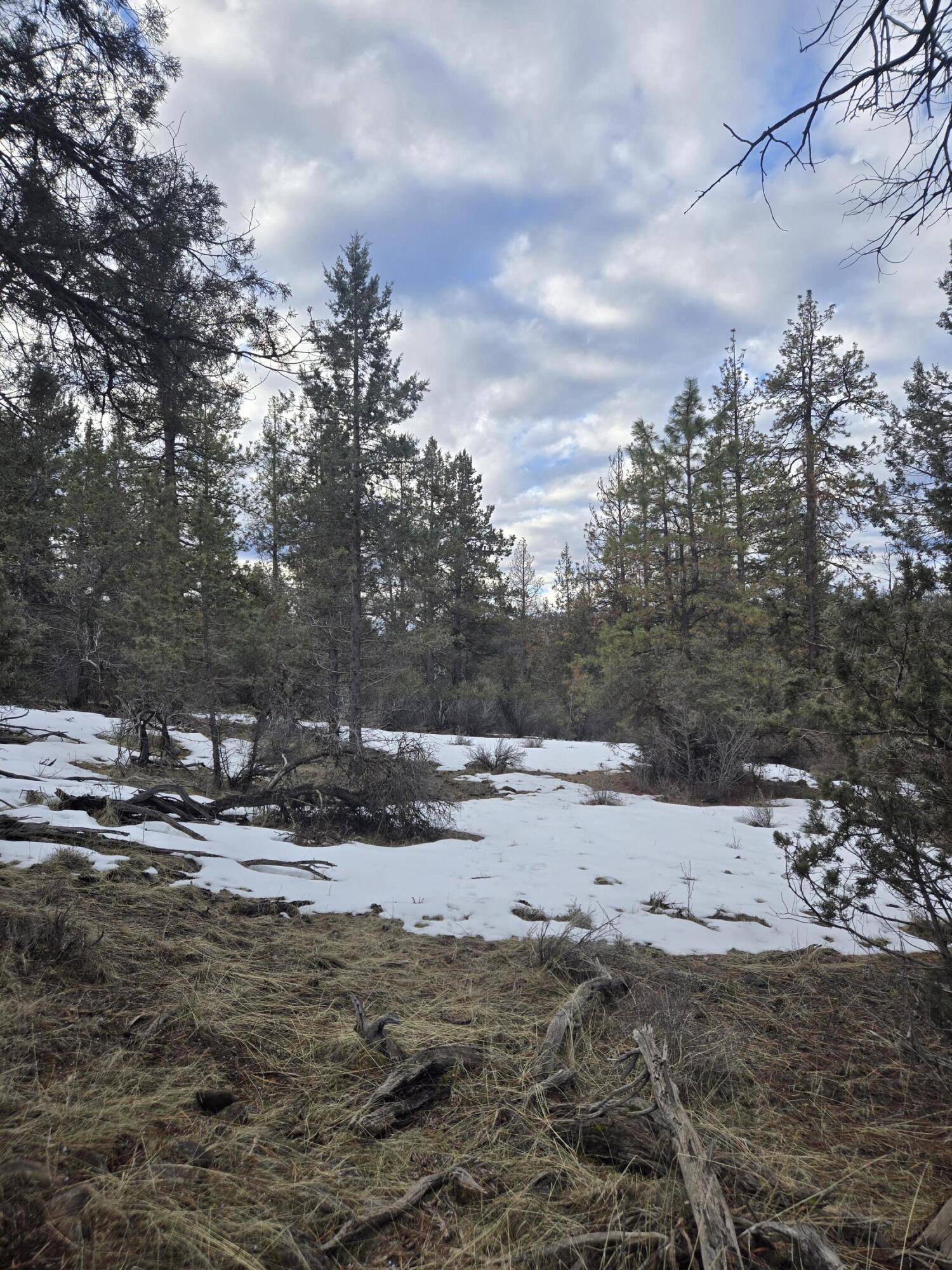 Klamath Forest Estates - Land