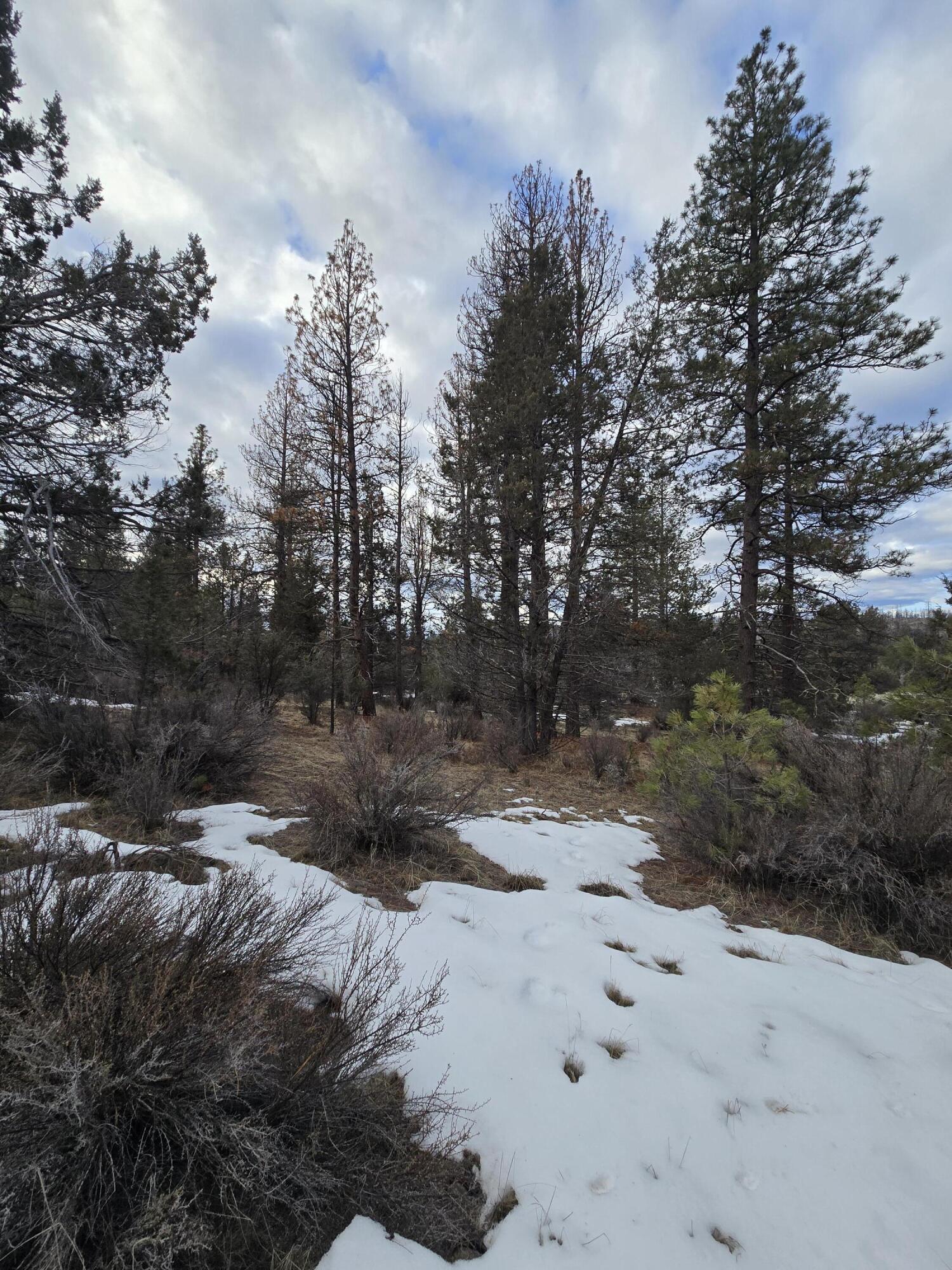 Klamath Forest Estates - Land