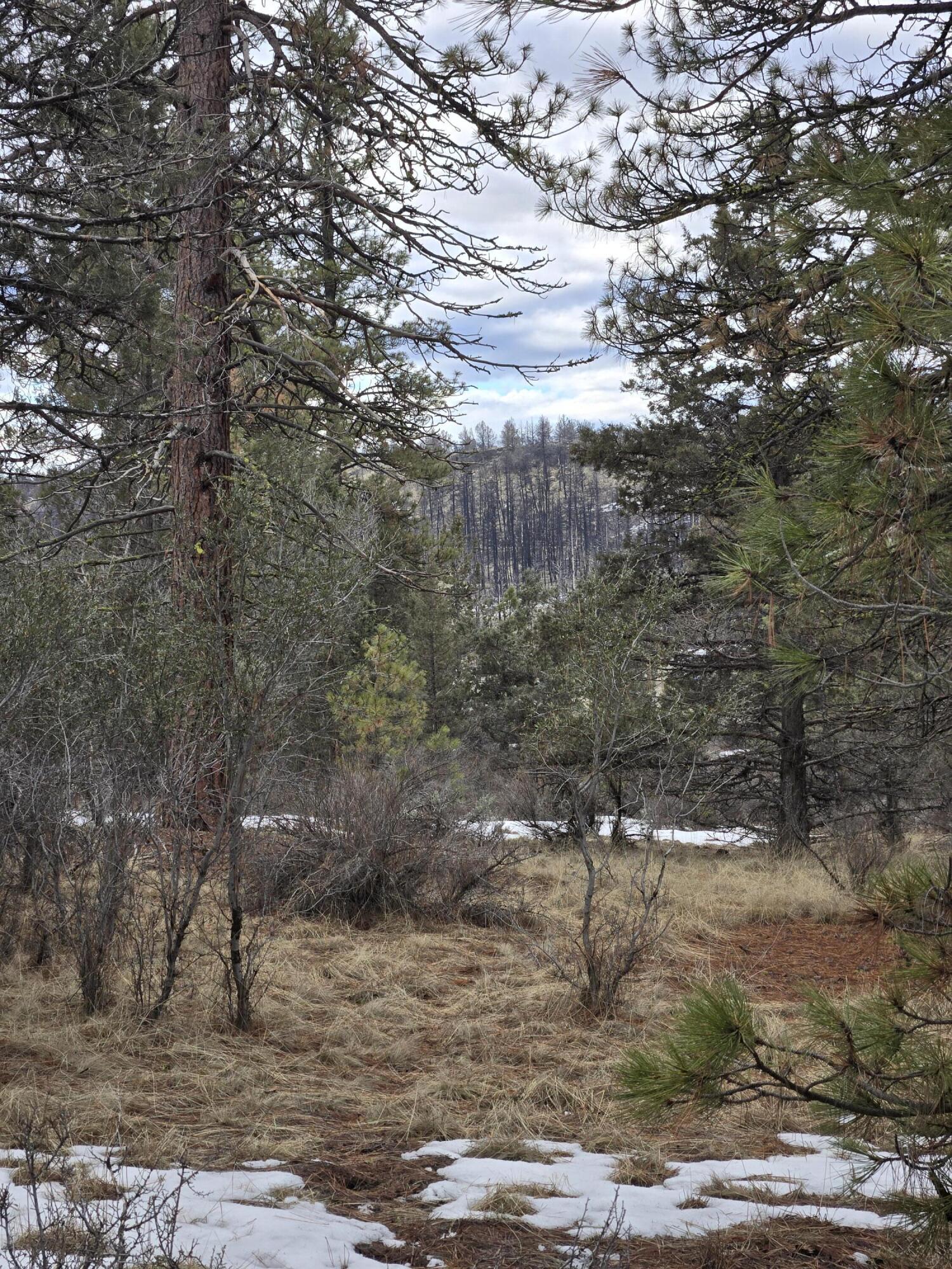 Klamath Forest Estates - Land