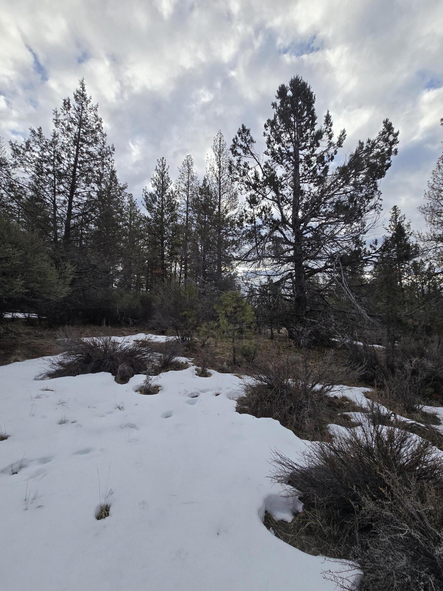 Klamath Forest Estates - Land