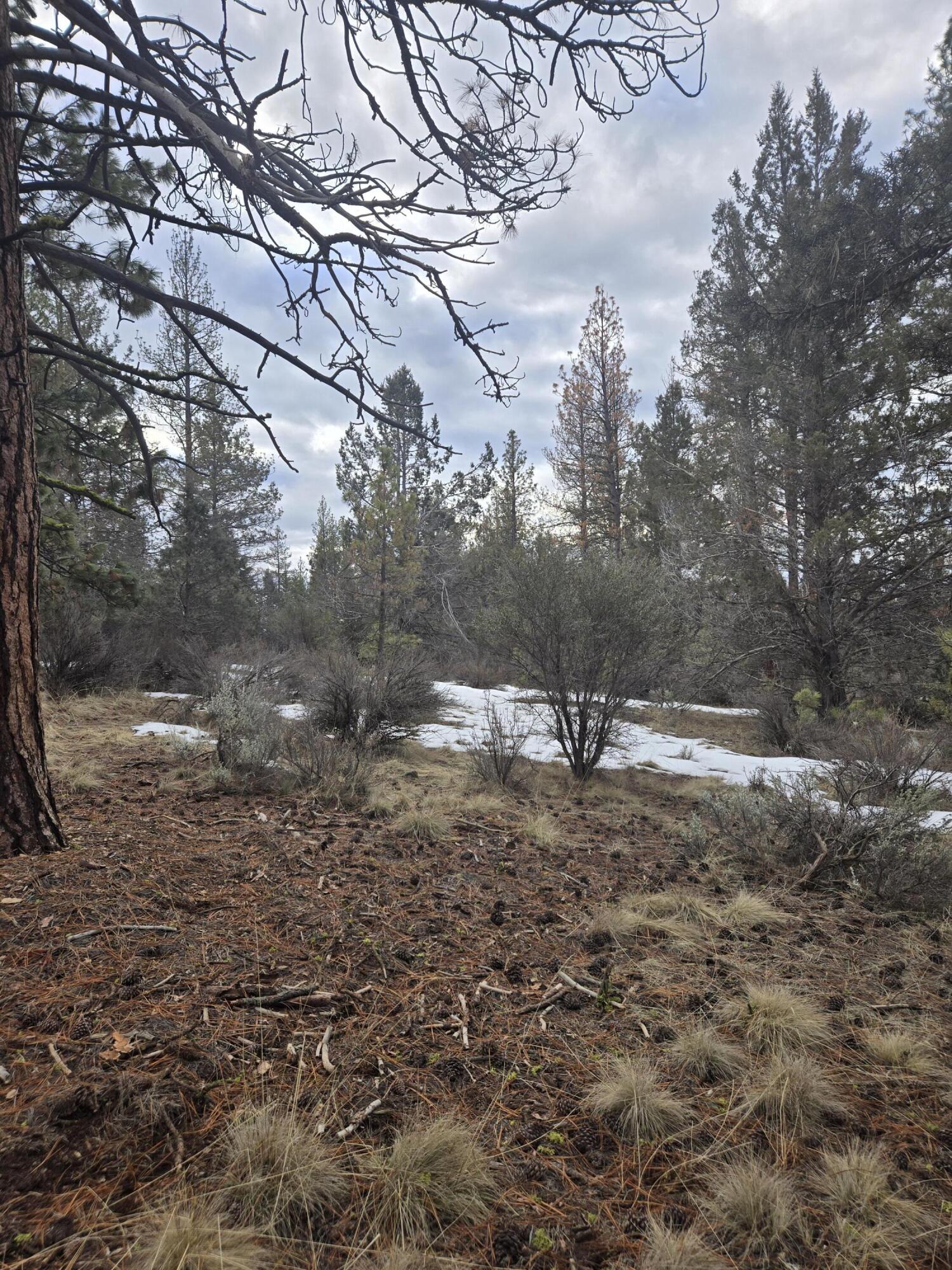 Klamath Forest Estates - Land