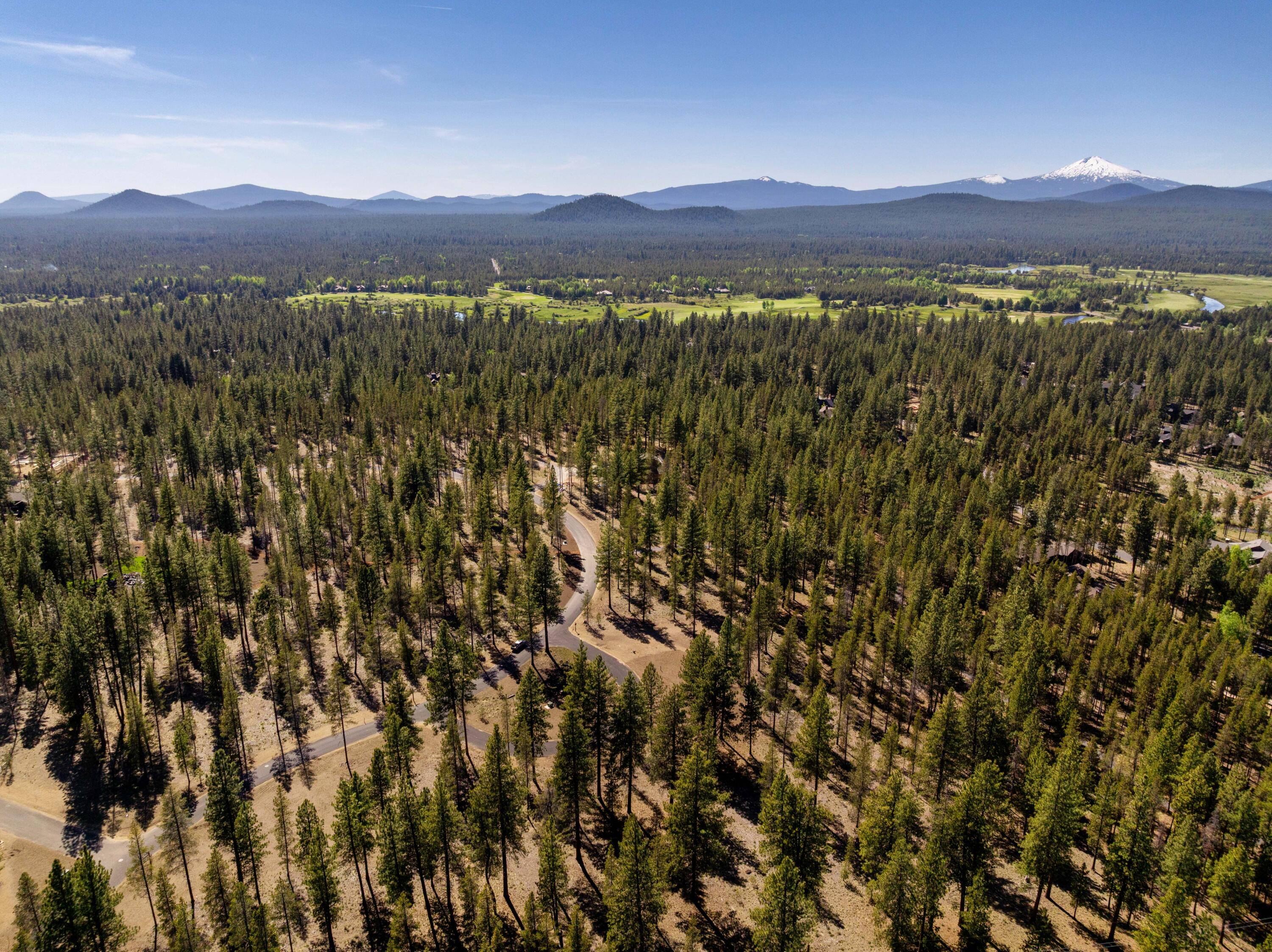 17727 Redtail Loop 475