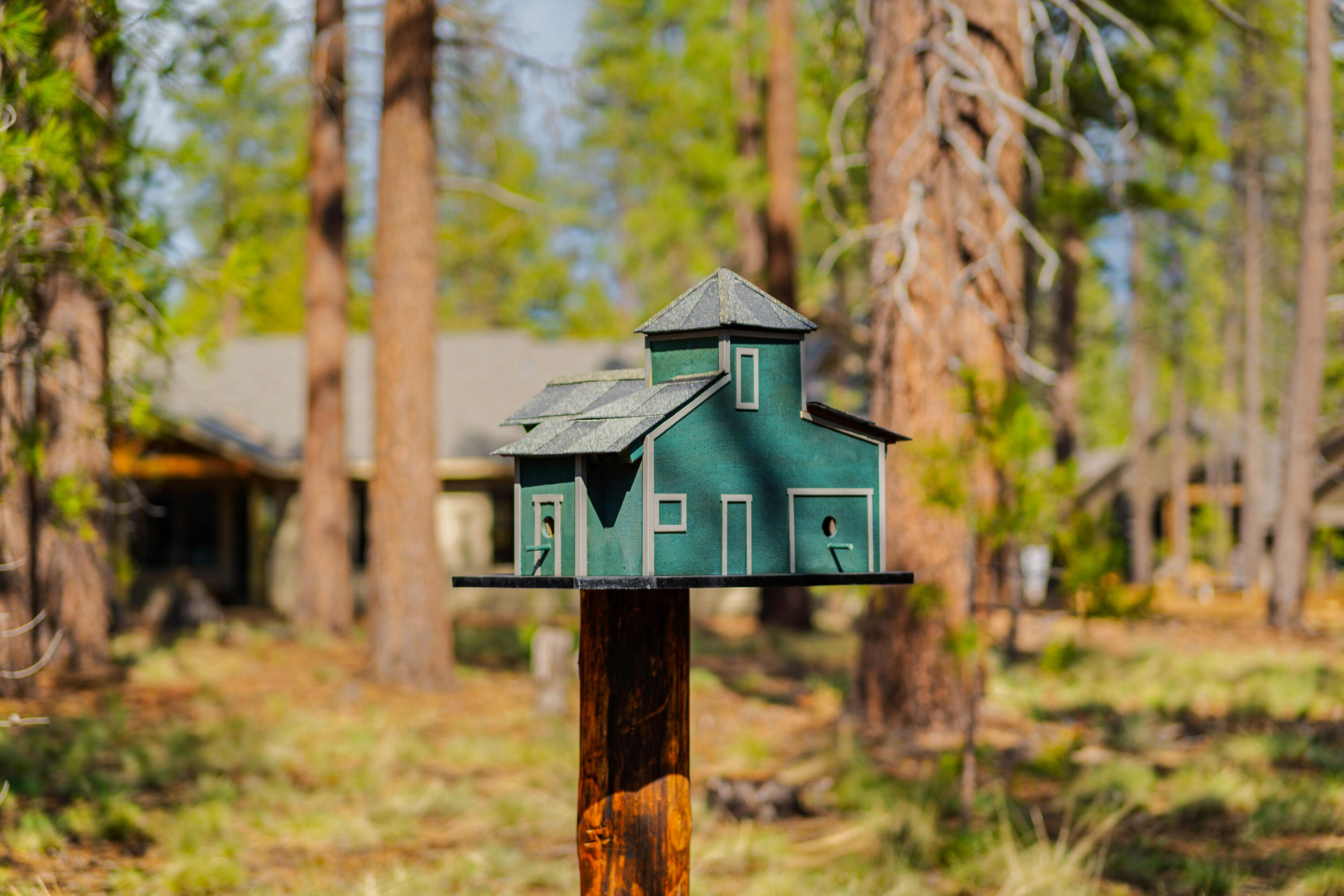 Caldera Springs - Land