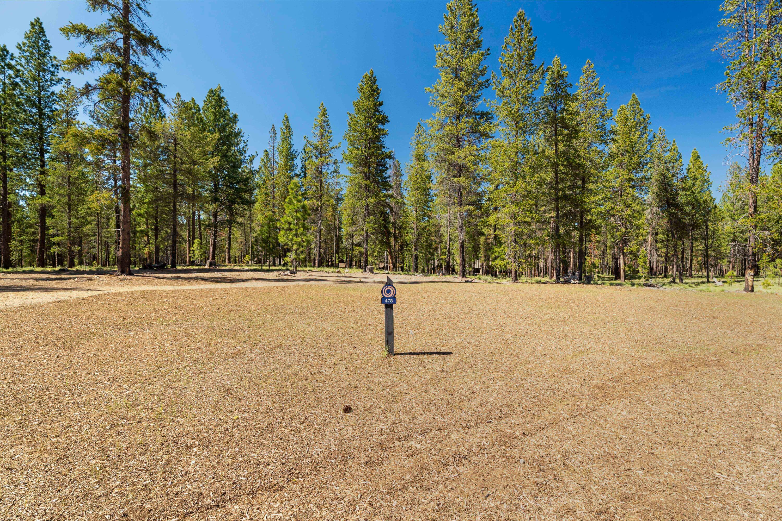 17727 Redtail Loop 475