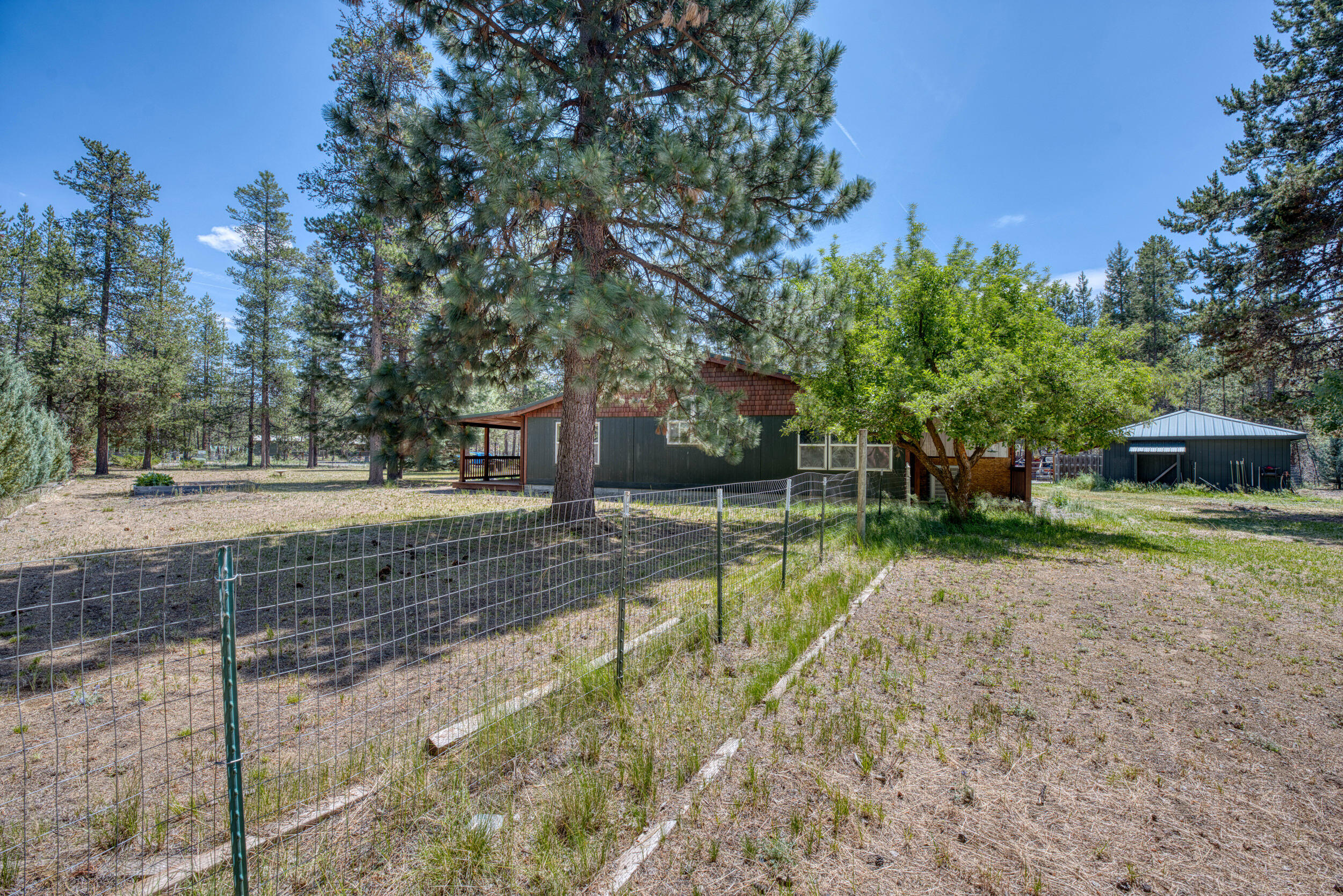 Tall Pines - Residential