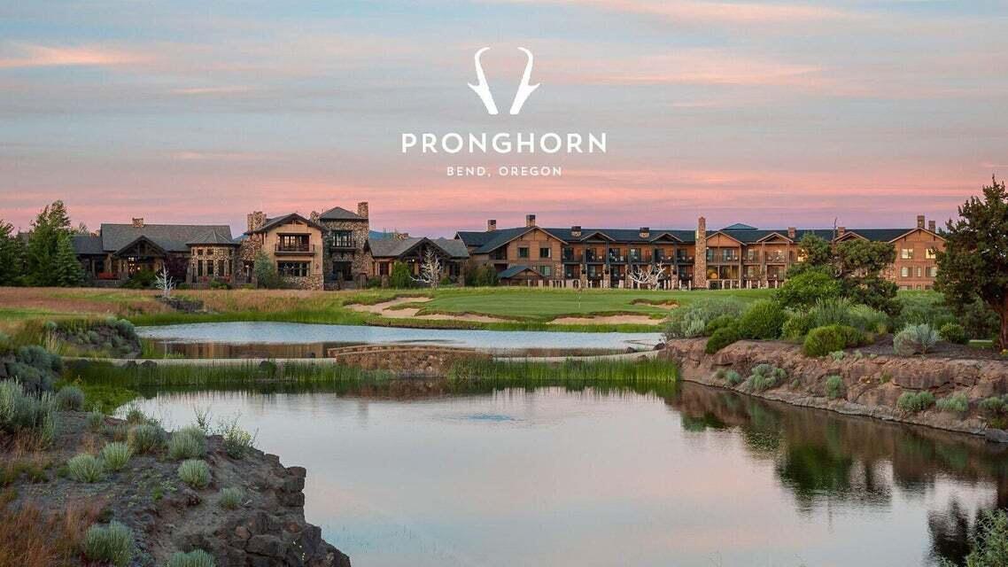 Pronghorn - Land