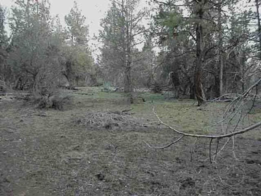 Pc1105 Owner Will Consider Carry With An Acceptable Credit Report & Large Down.