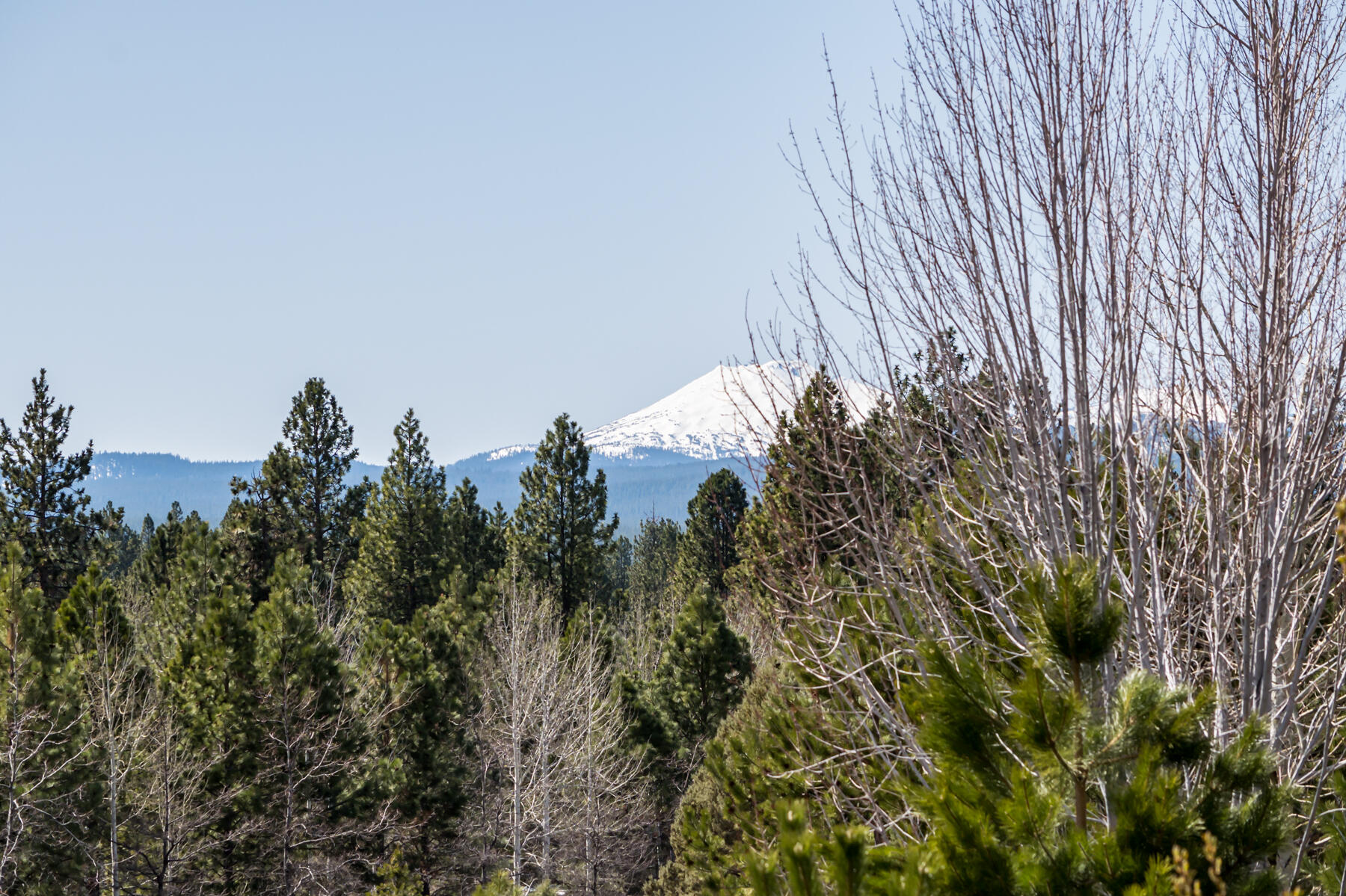 Skyliner Summit - Residential