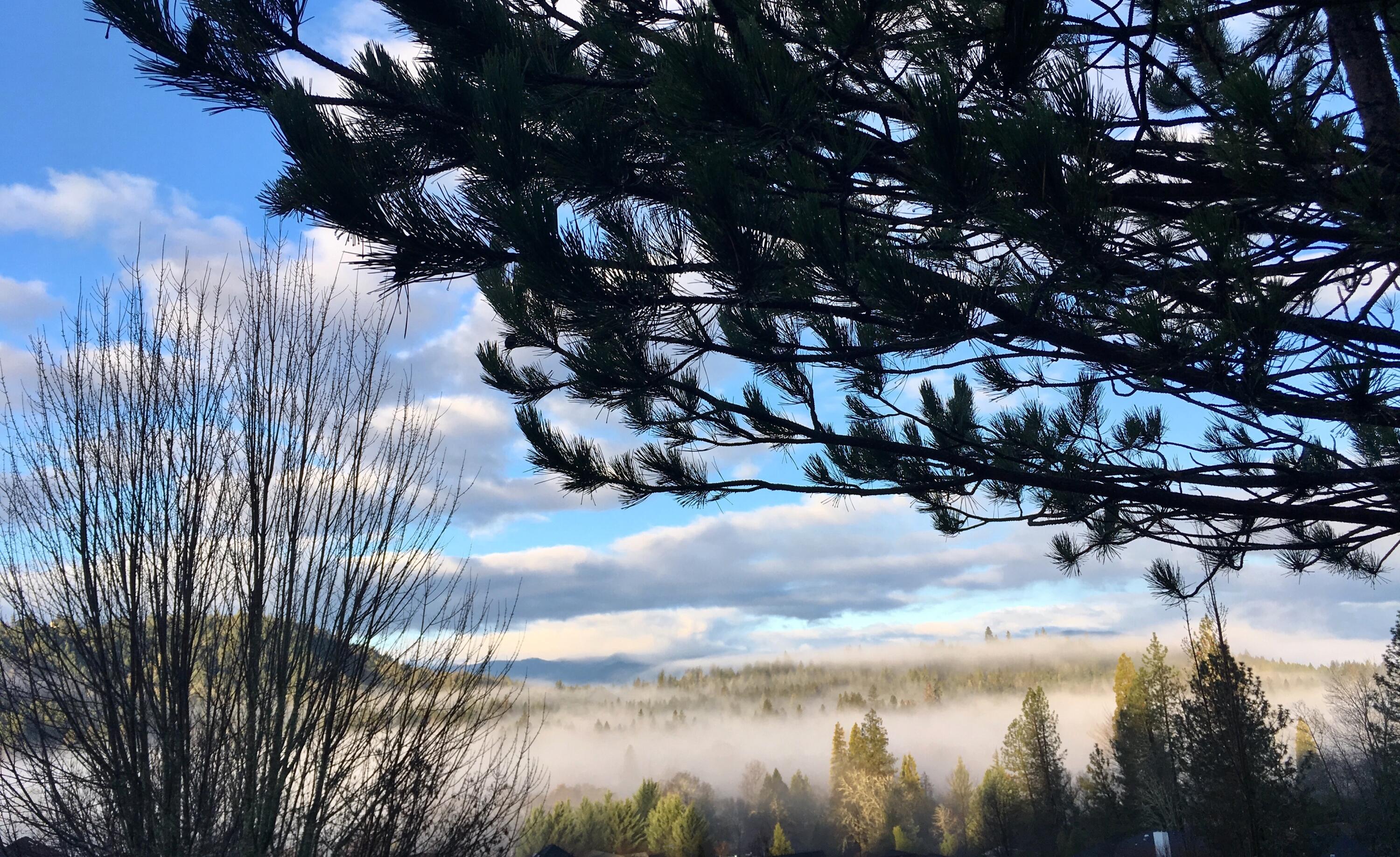 Williams Crossing - Residential