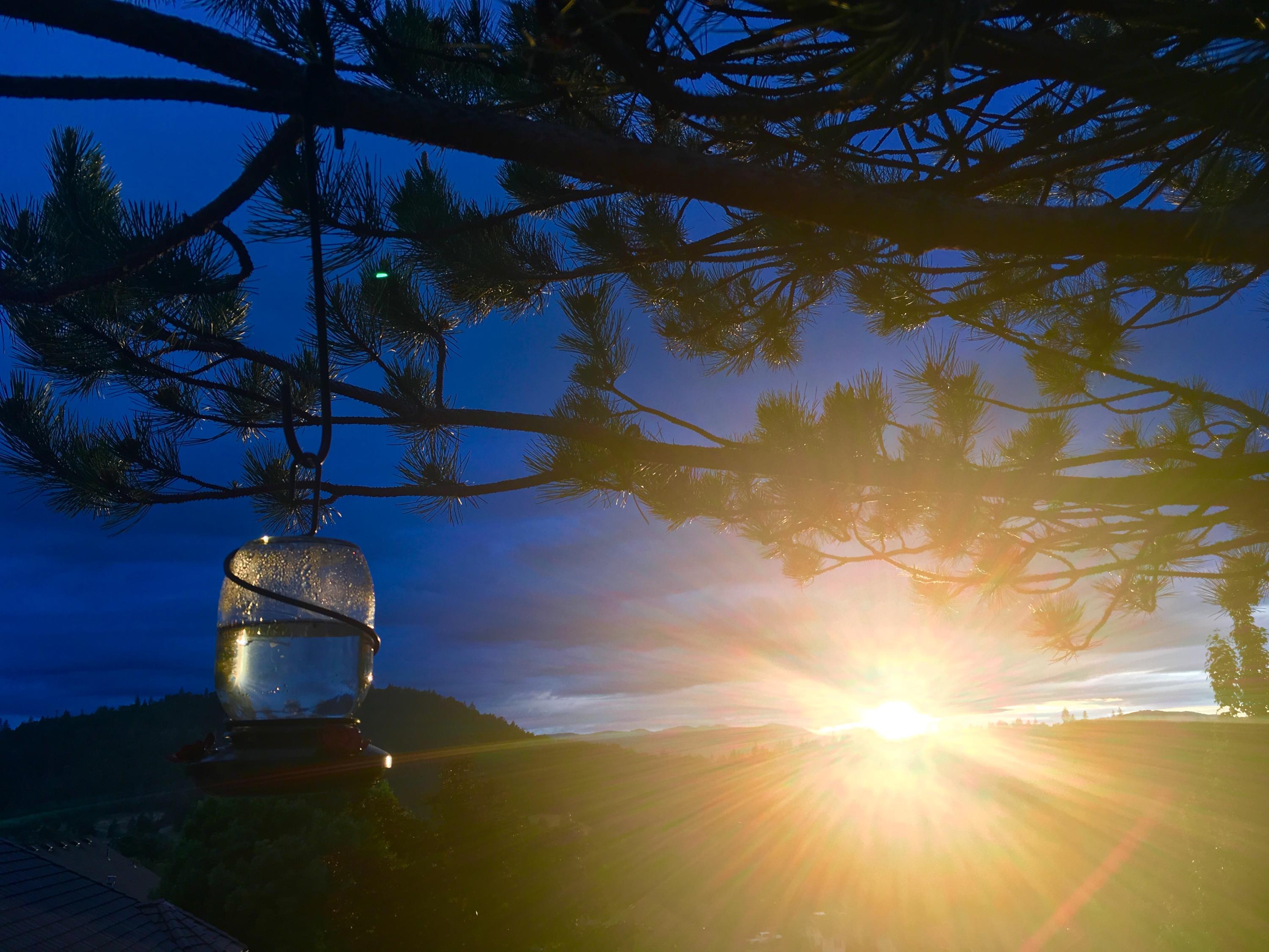 Williams Crossing - Residential