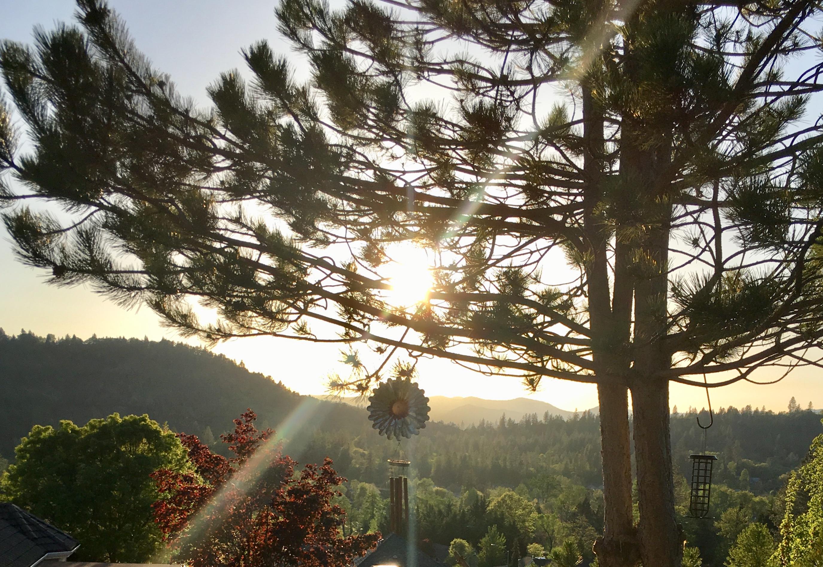 Williams Crossing - Residential