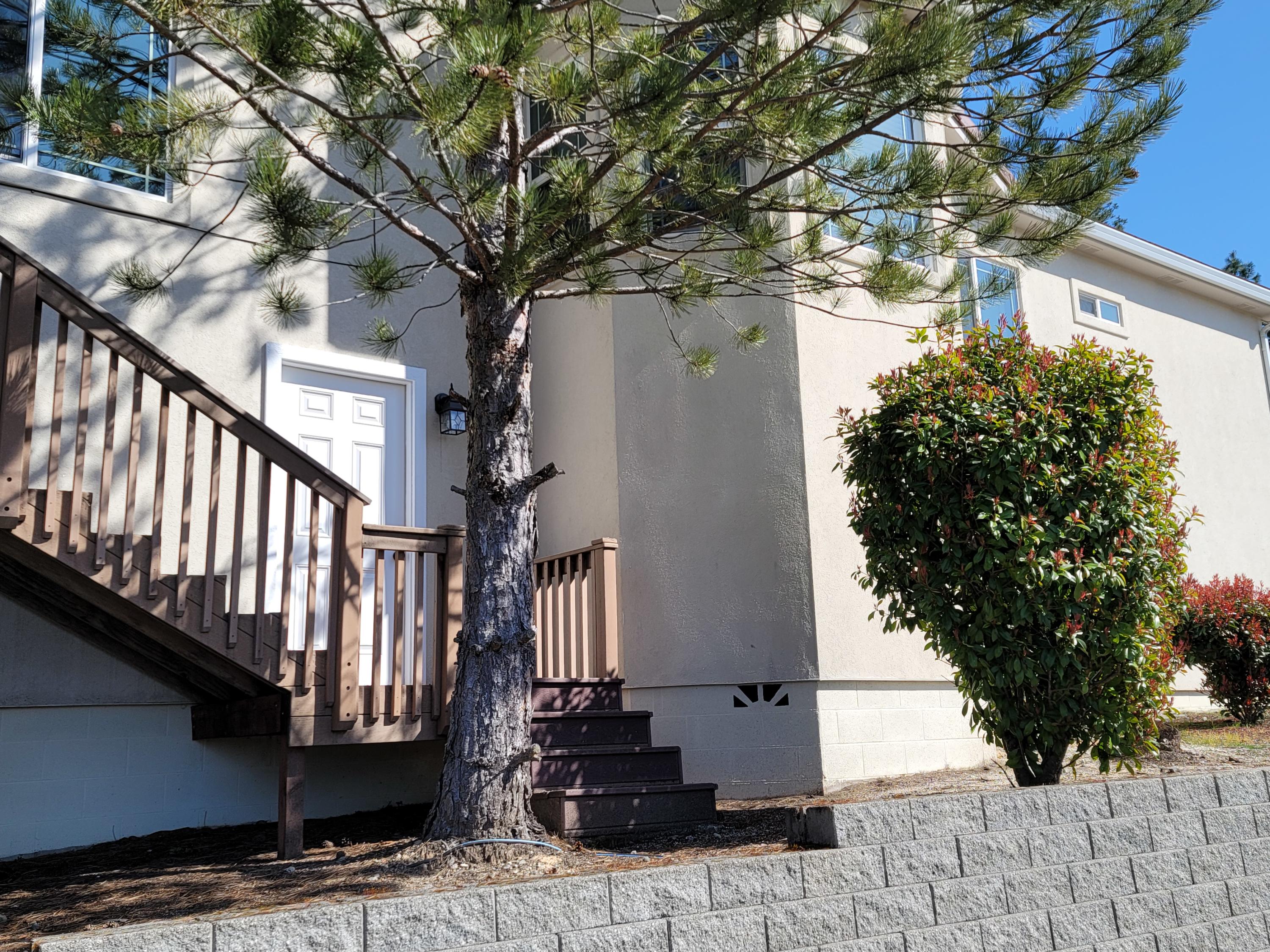 Williams Crossing - Residential