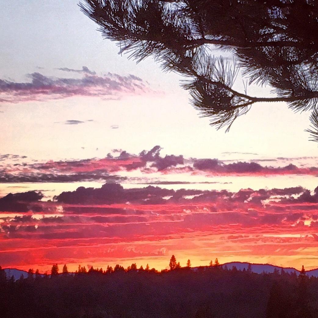 Williams Crossing - Residential